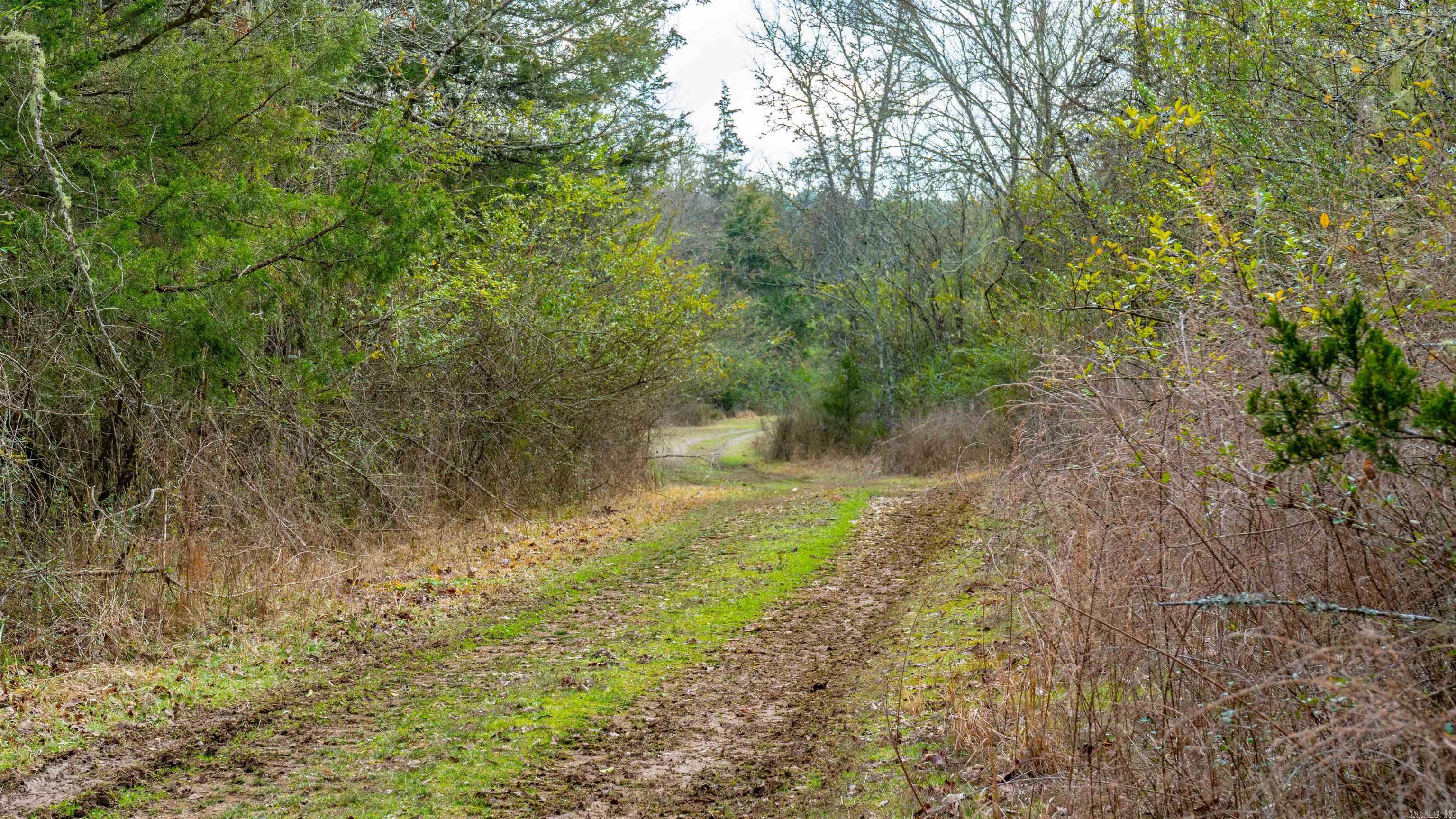 169  Rock Springs  Jessieville, AR