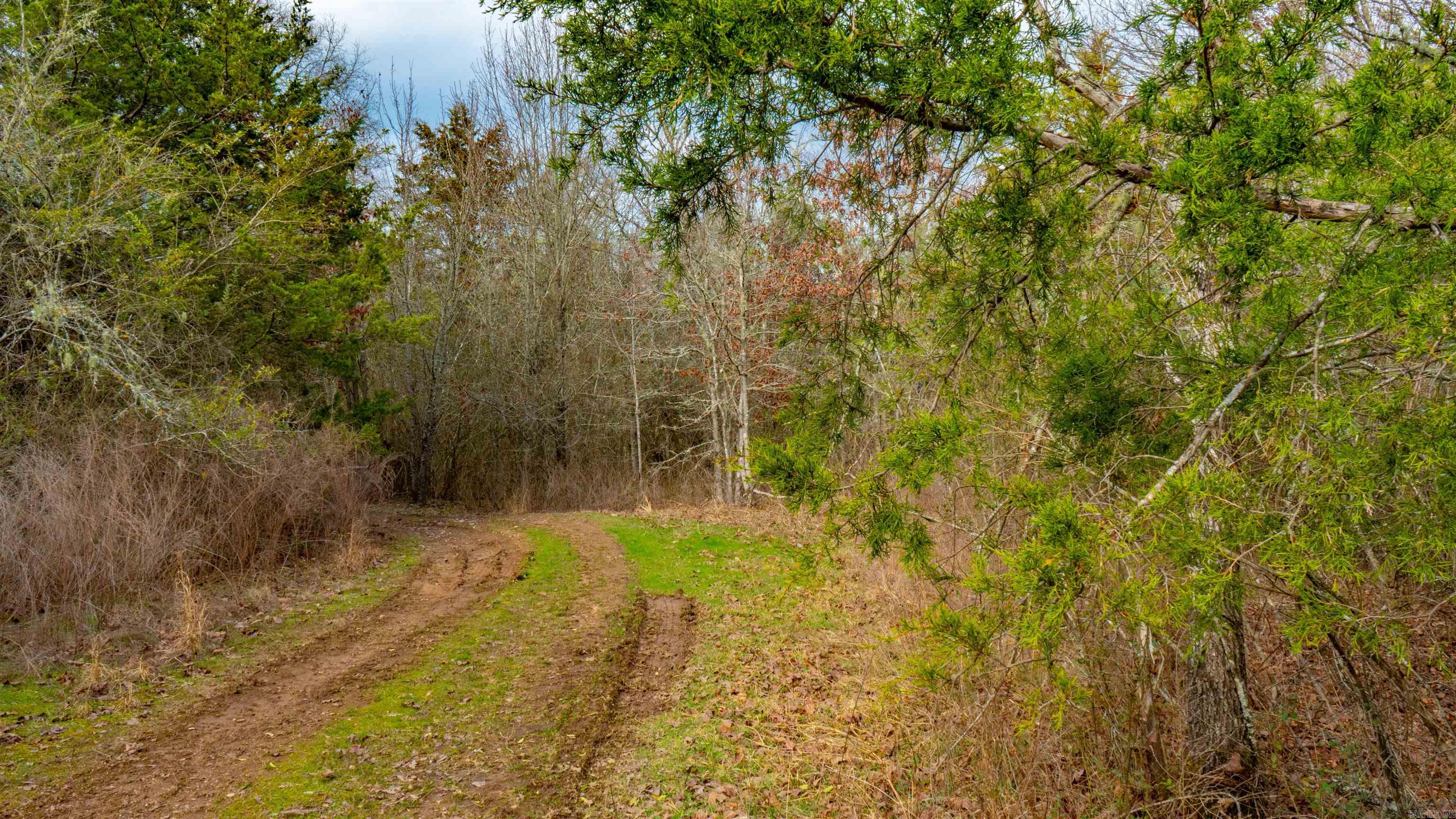 169  Rock Springs  Jessieville, AR