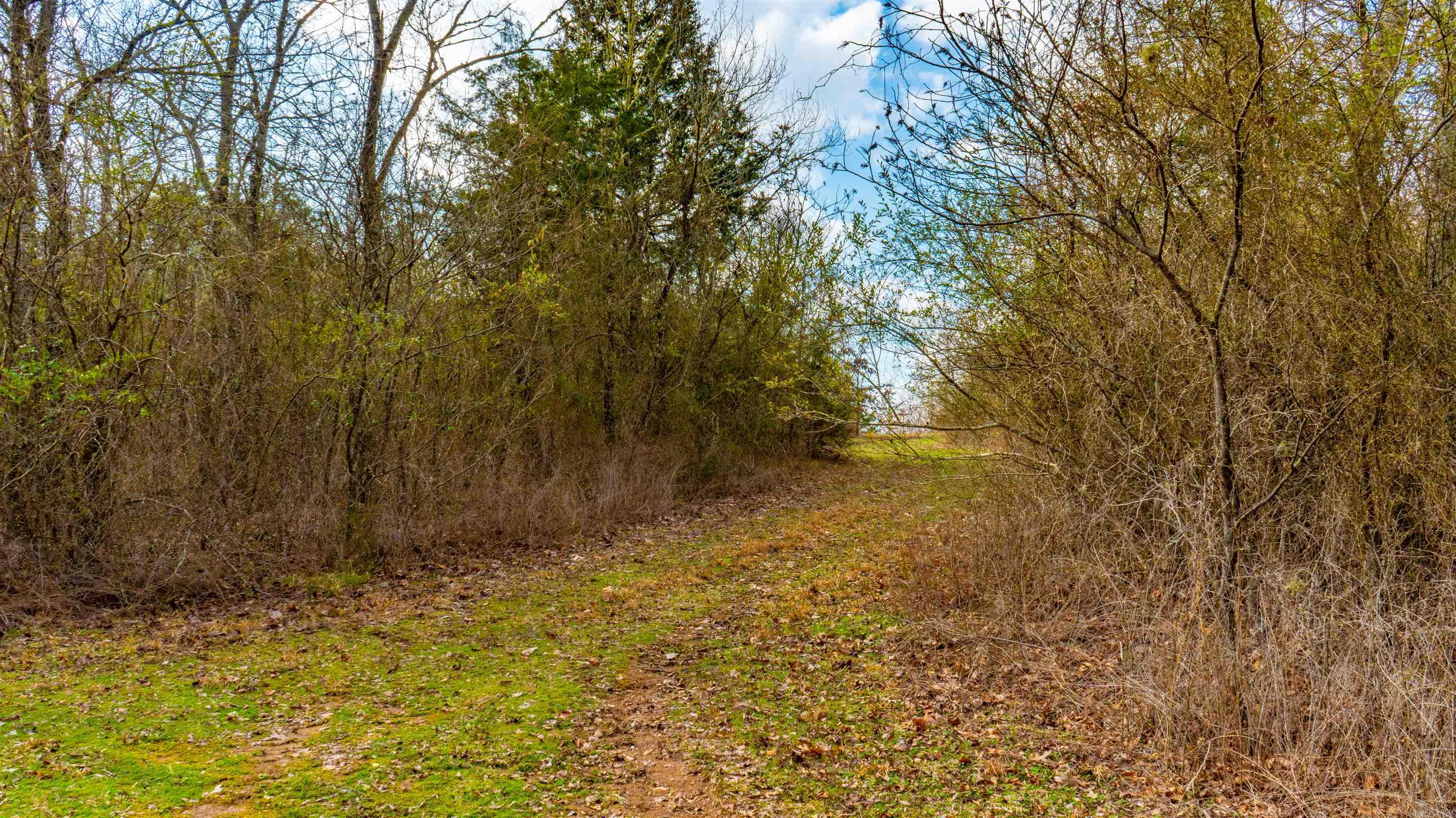 169  Rock Springs  Jessieville, AR