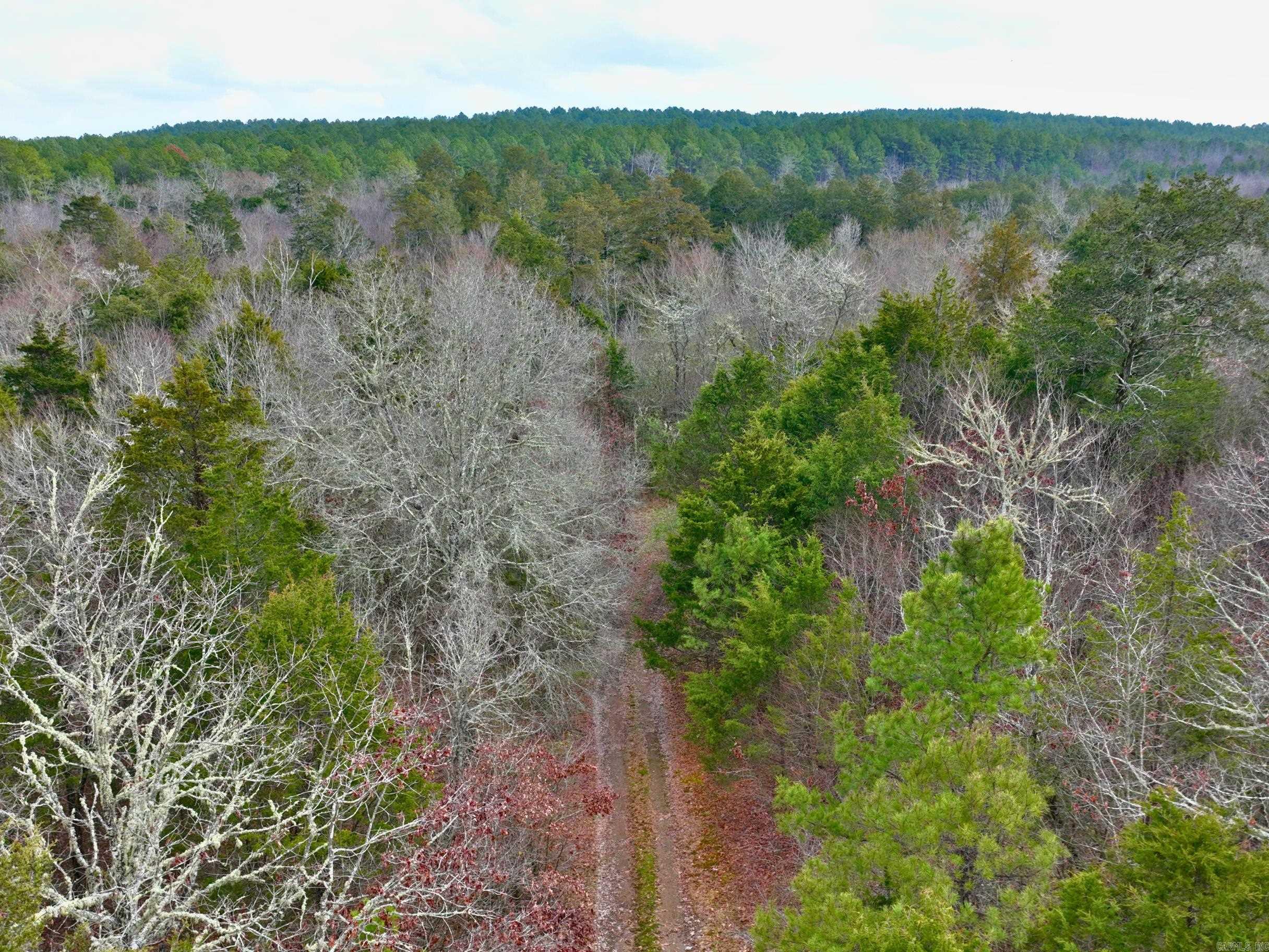 169  Rock Springs  Jessieville, AR
