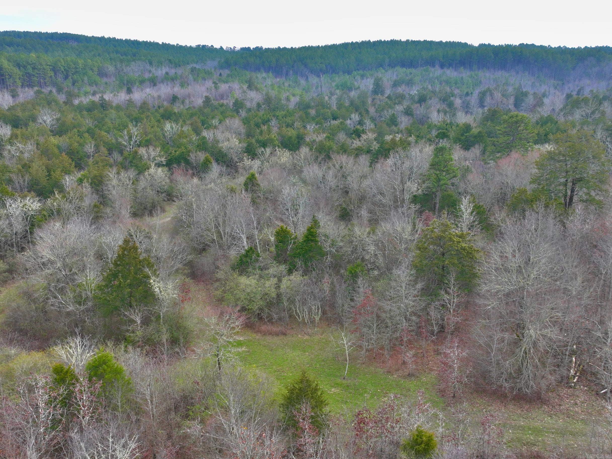 169  Rock Springs  Jessieville, AR