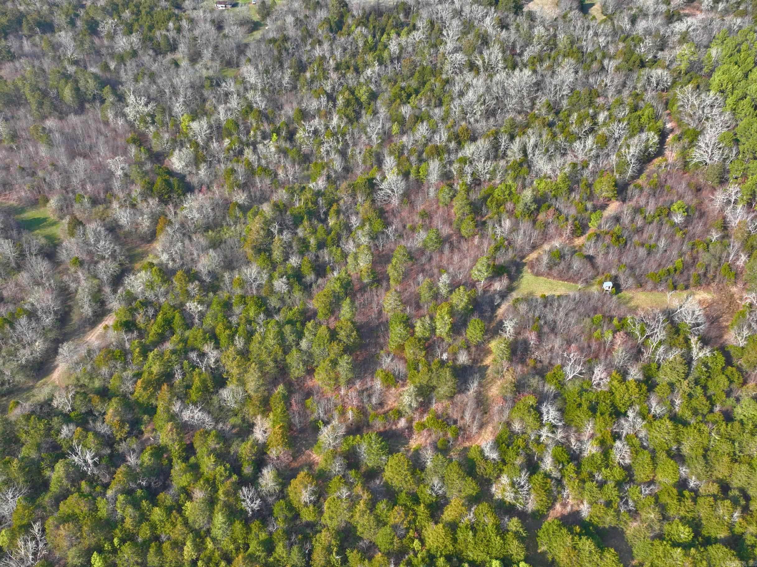 169  Rock Springs  Jessieville, AR
