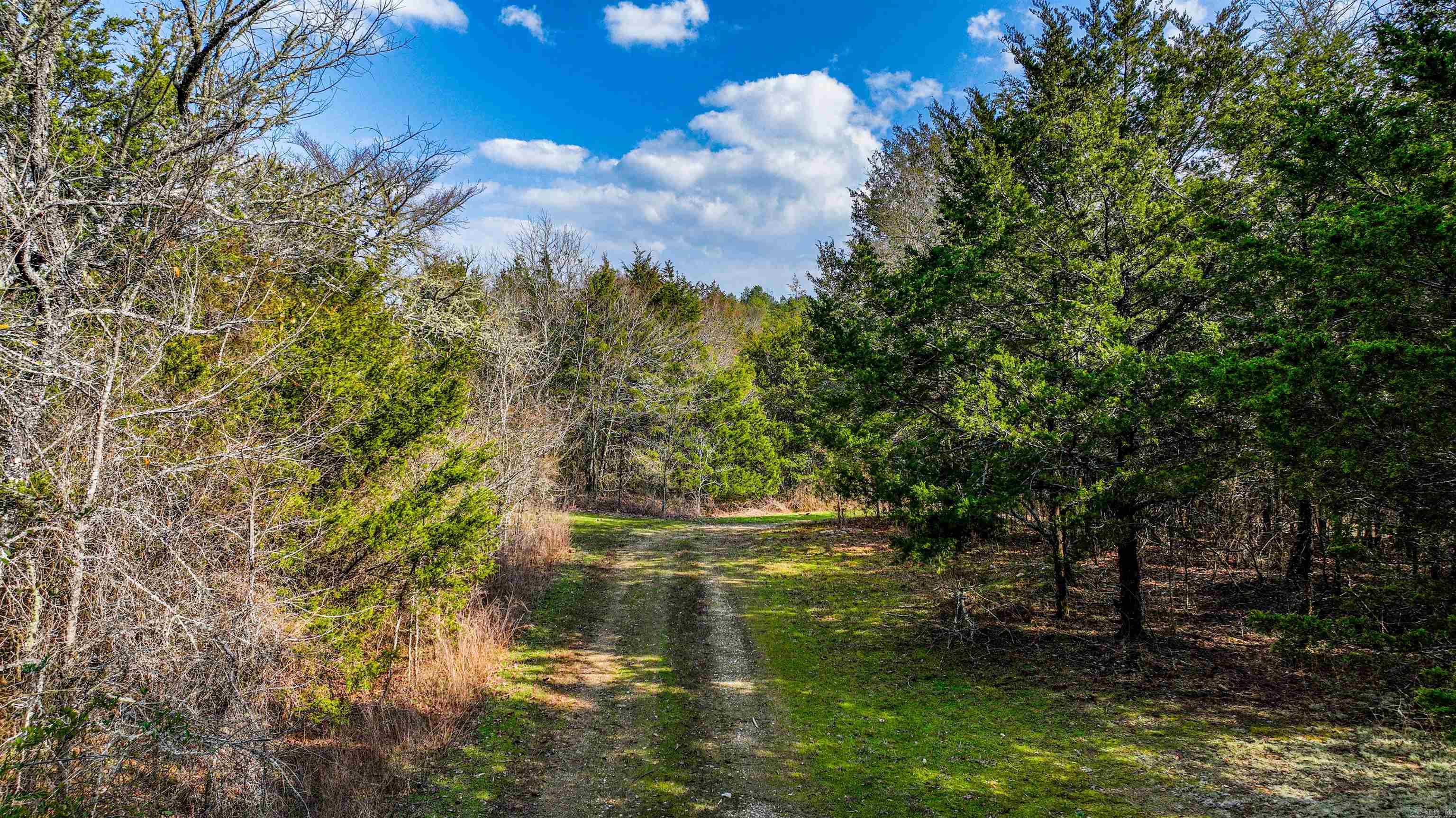169  Rock Springs  Jessieville, AR