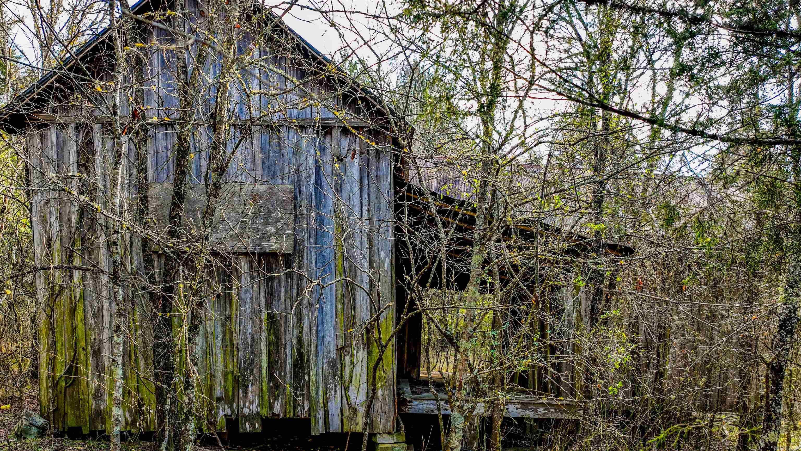 169  Rock Springs  Jessieville, AR