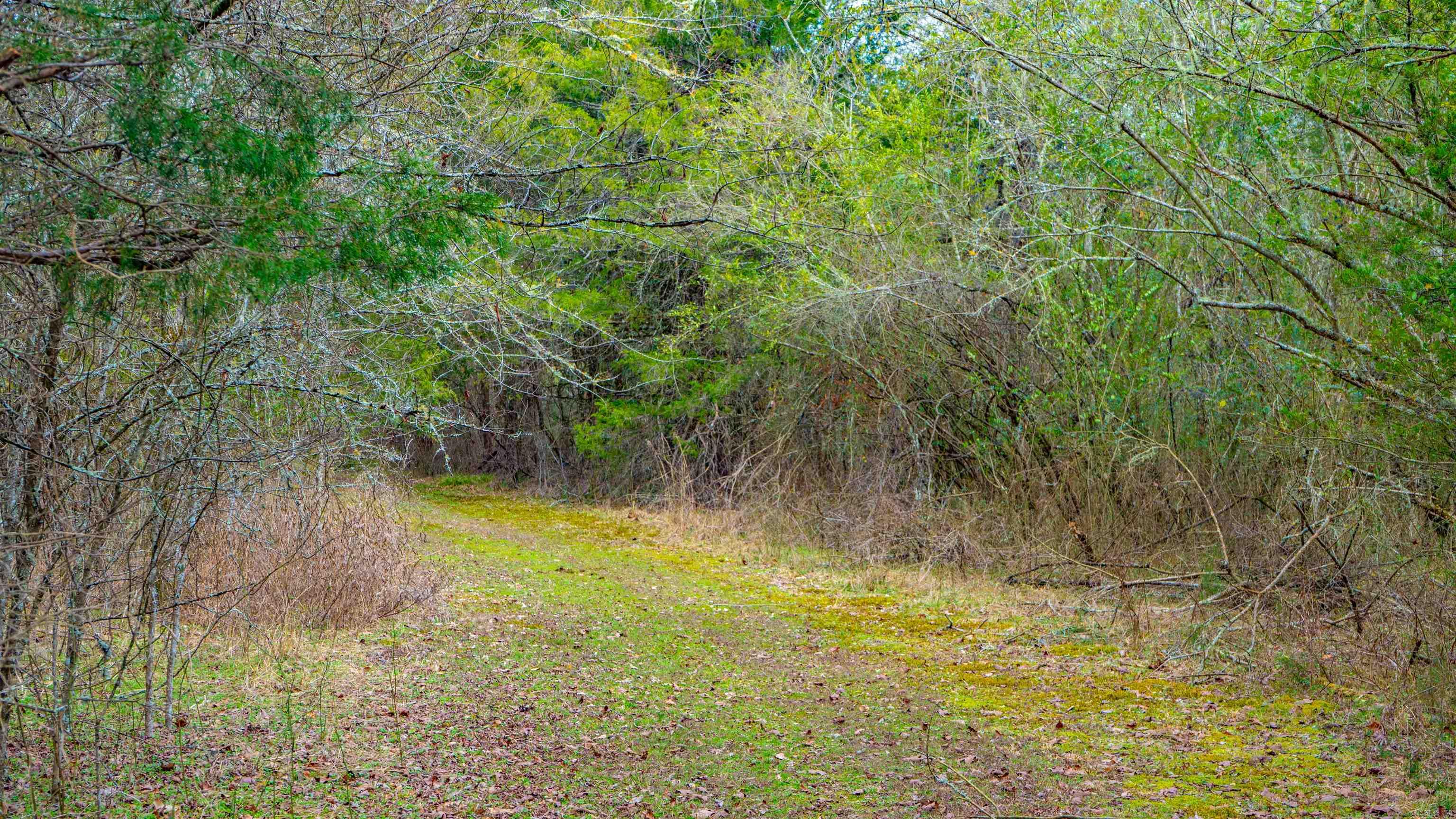 169  Rock Springs  Jessieville, AR