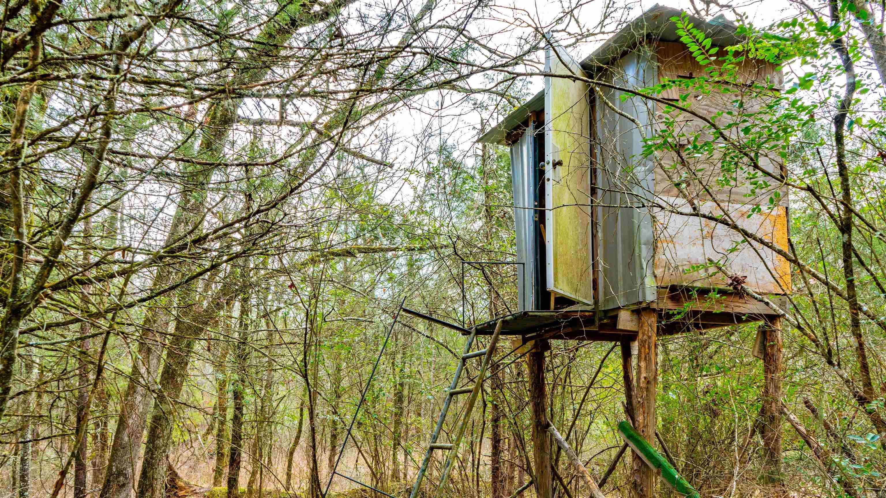 169  Rock Springs  Jessieville, AR