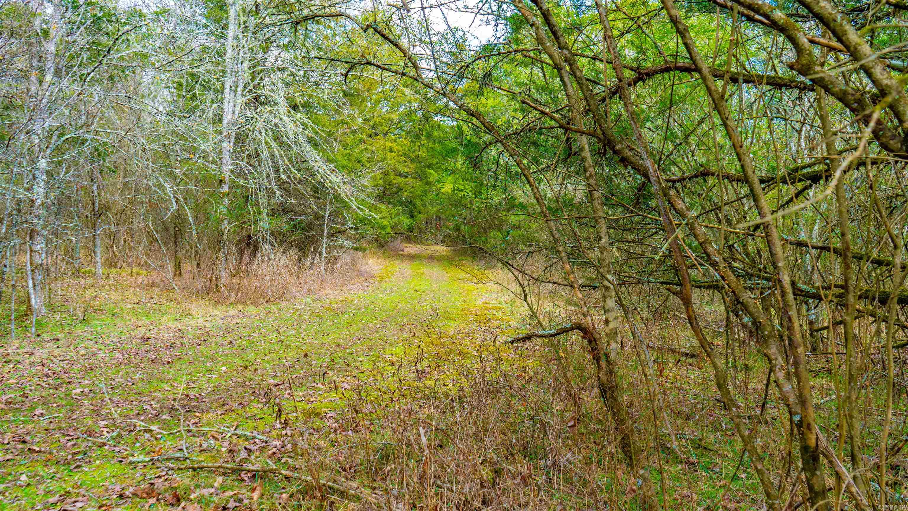 169  Rock Springs  Jessieville, AR
