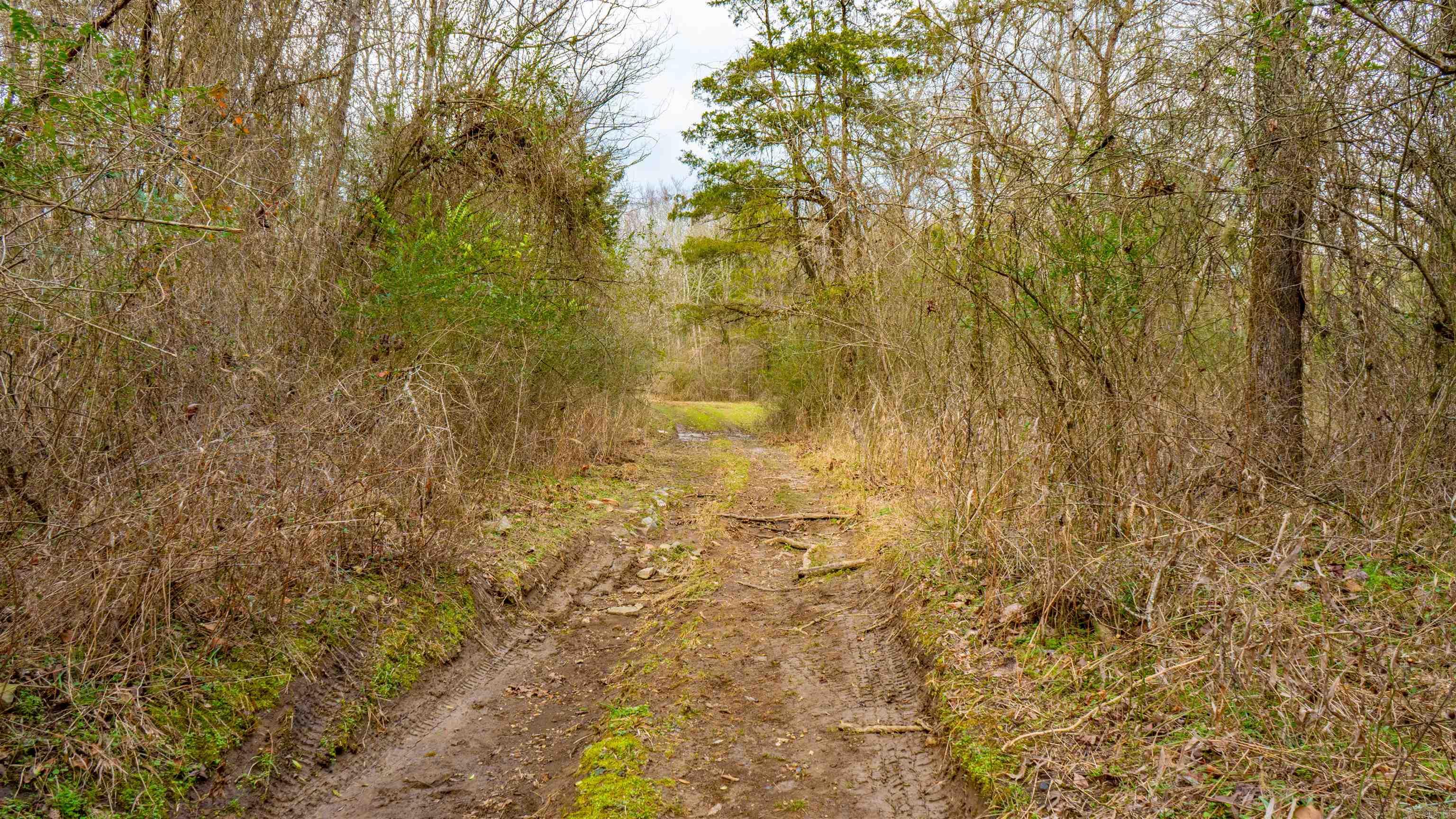 169  Rock Springs  Jessieville, AR
