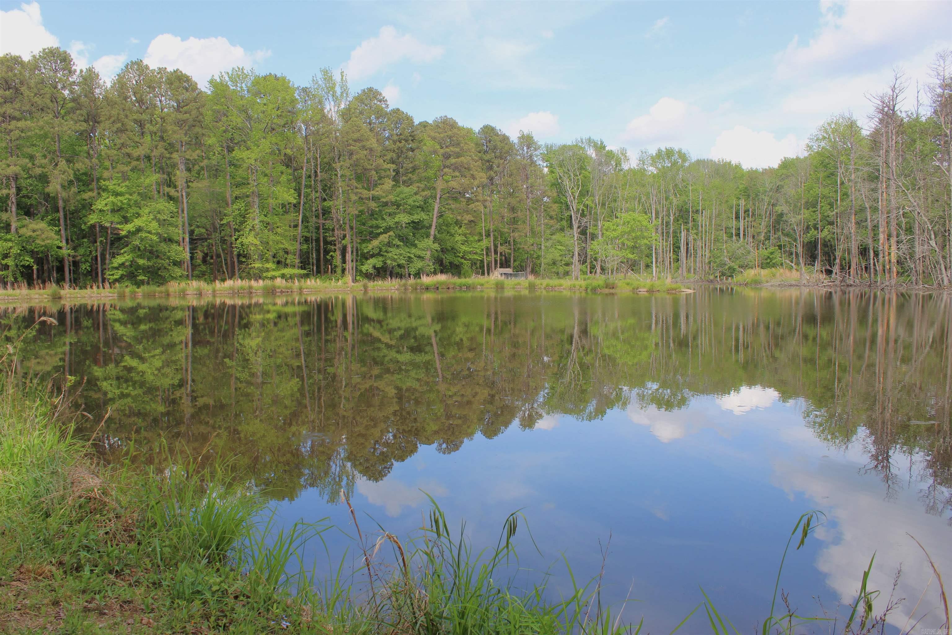 1150 S Stacy Springs  Quitman, AR