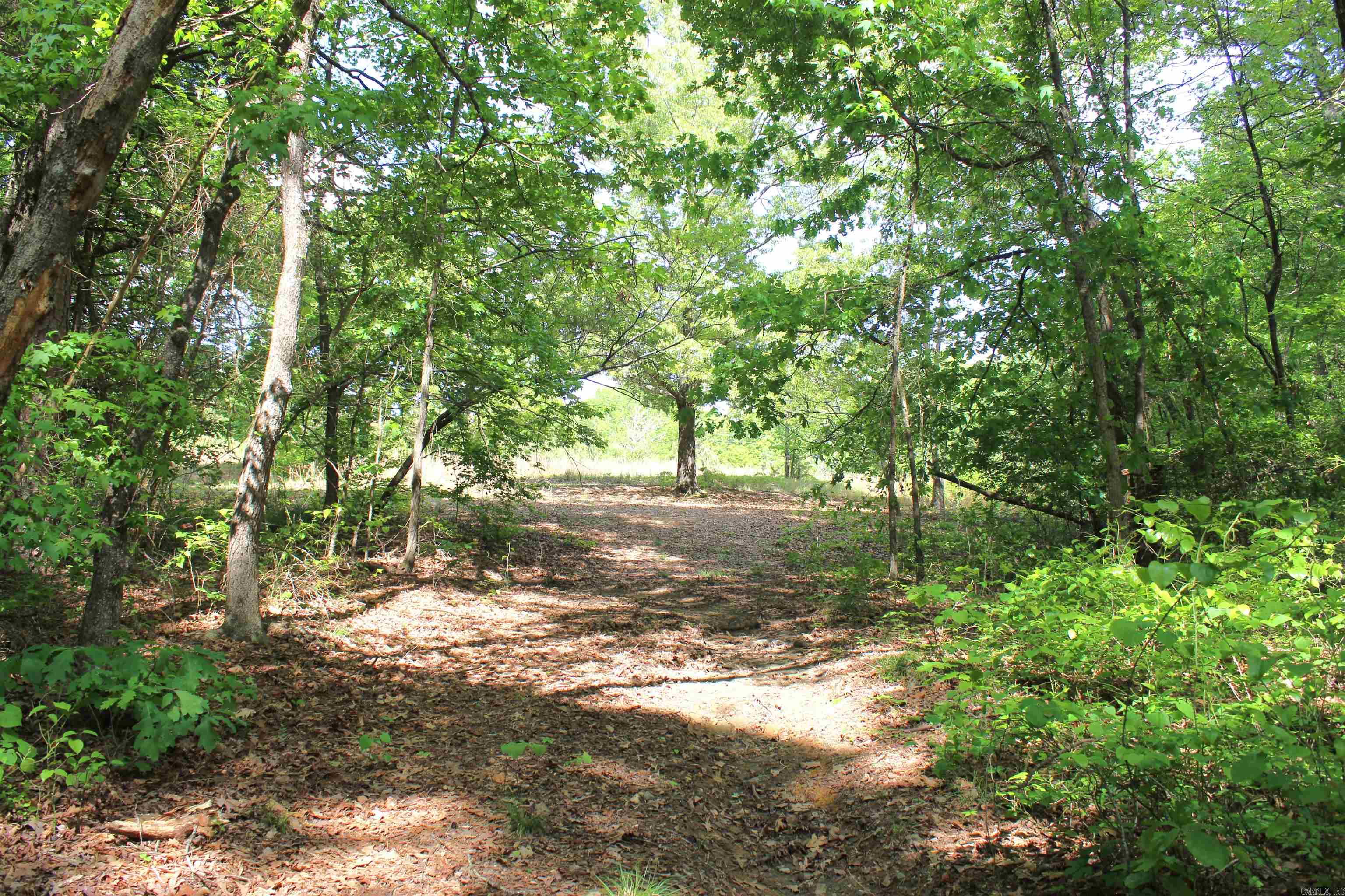 1150 S Stacy Springs  Quitman, AR