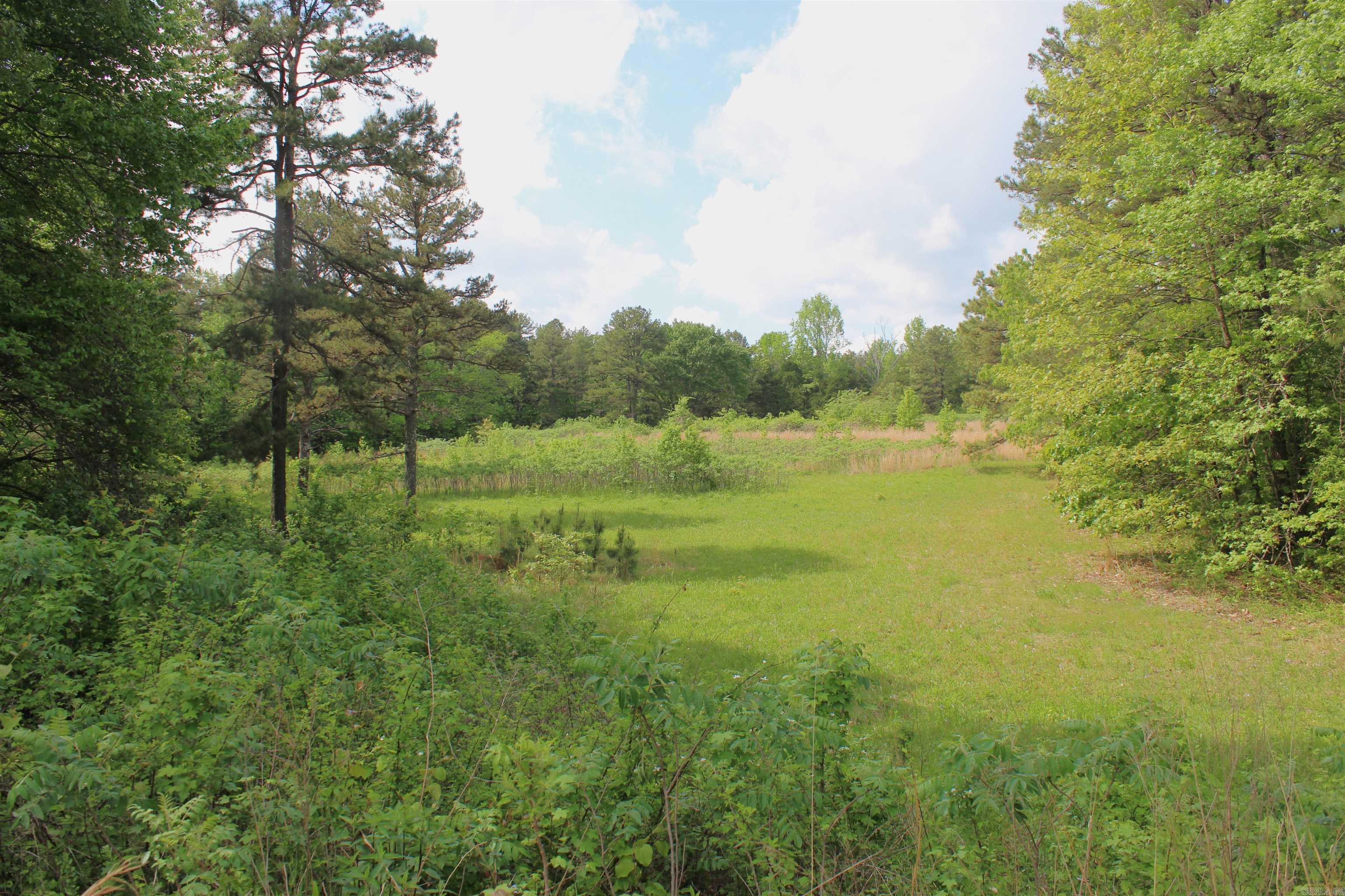 1150 S Stacy Springs  Quitman, AR