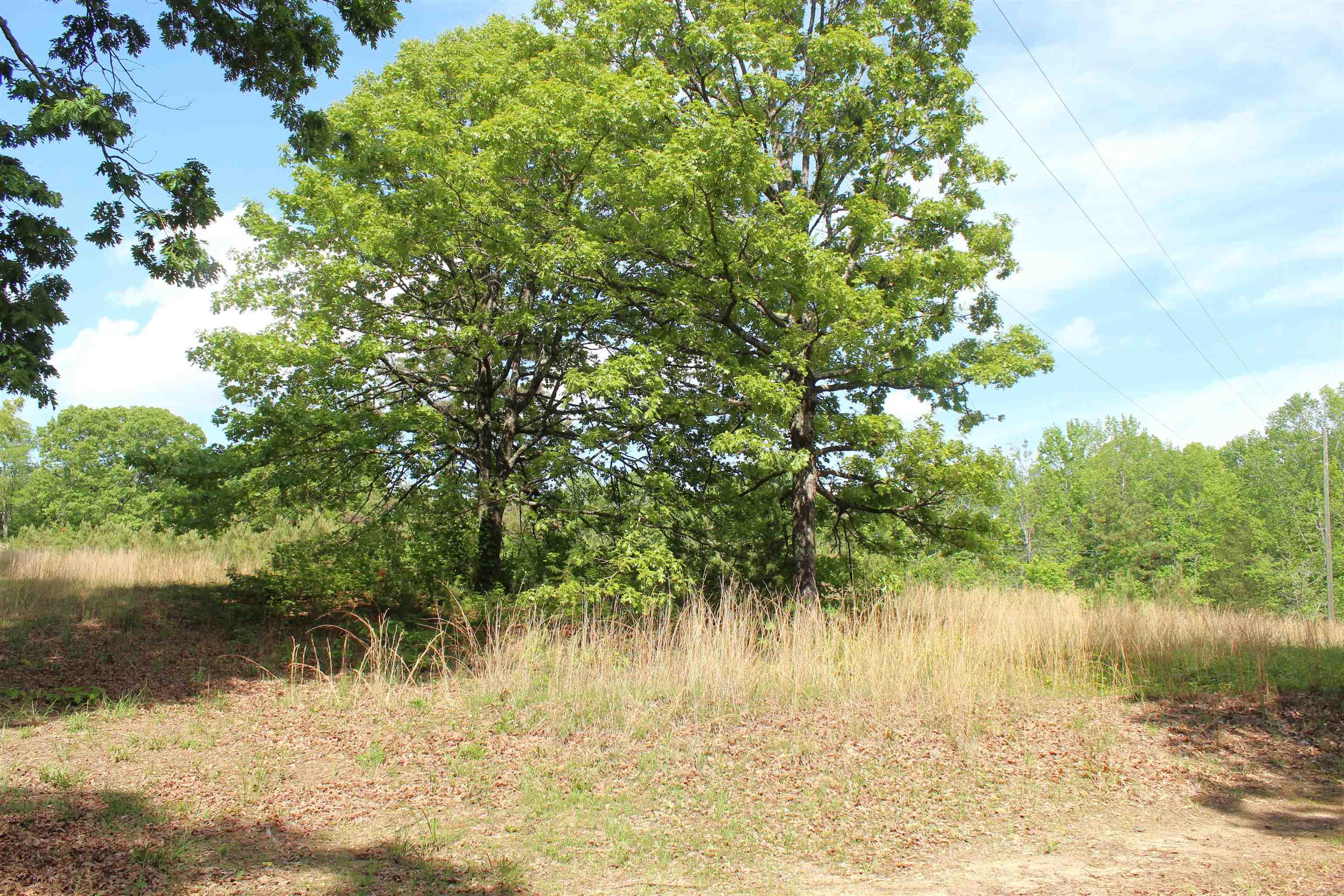 1150 S Stacy Springs  Quitman, AR
