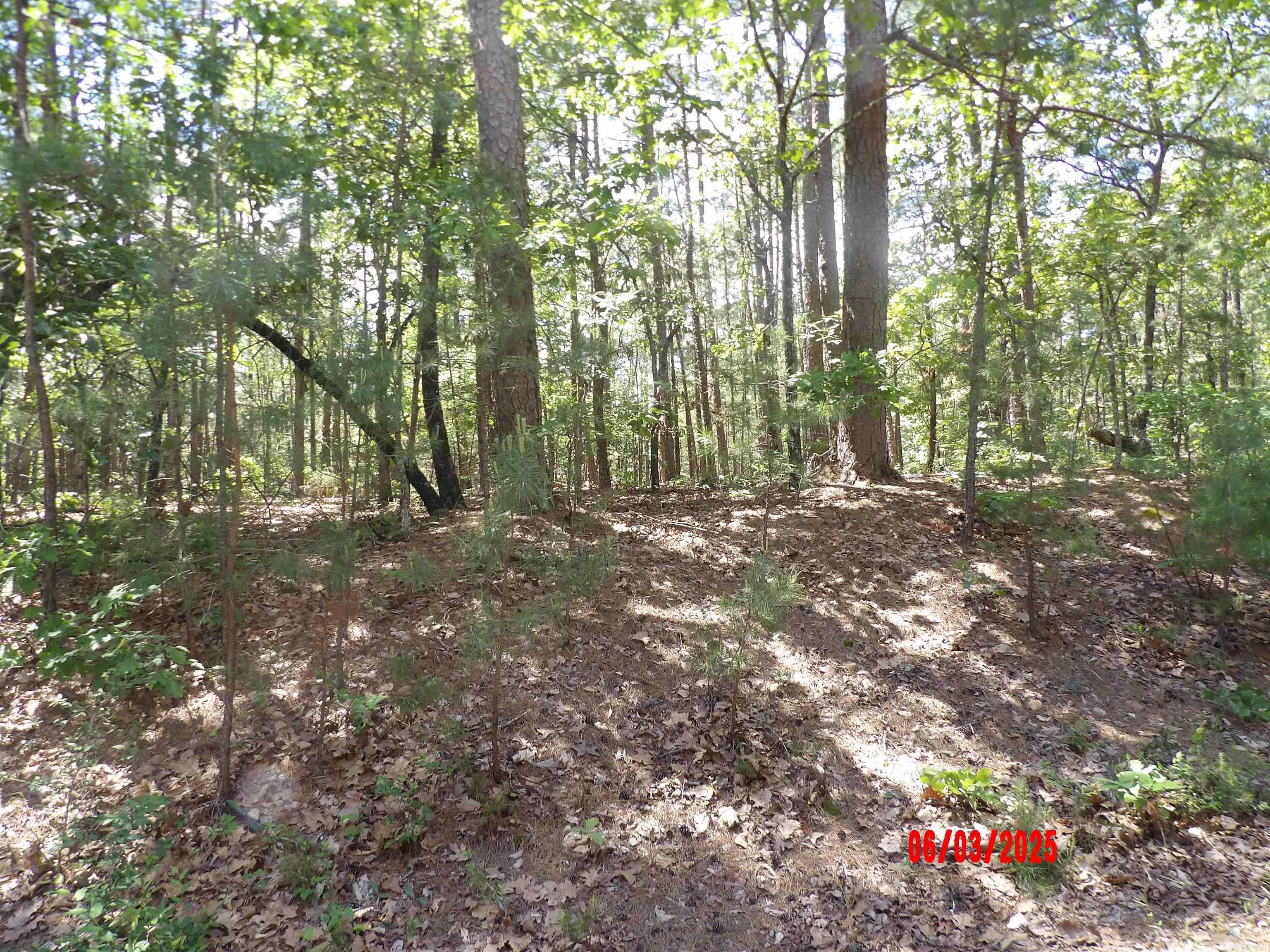4  VUELTA LANE  Hot Springs Village, AR