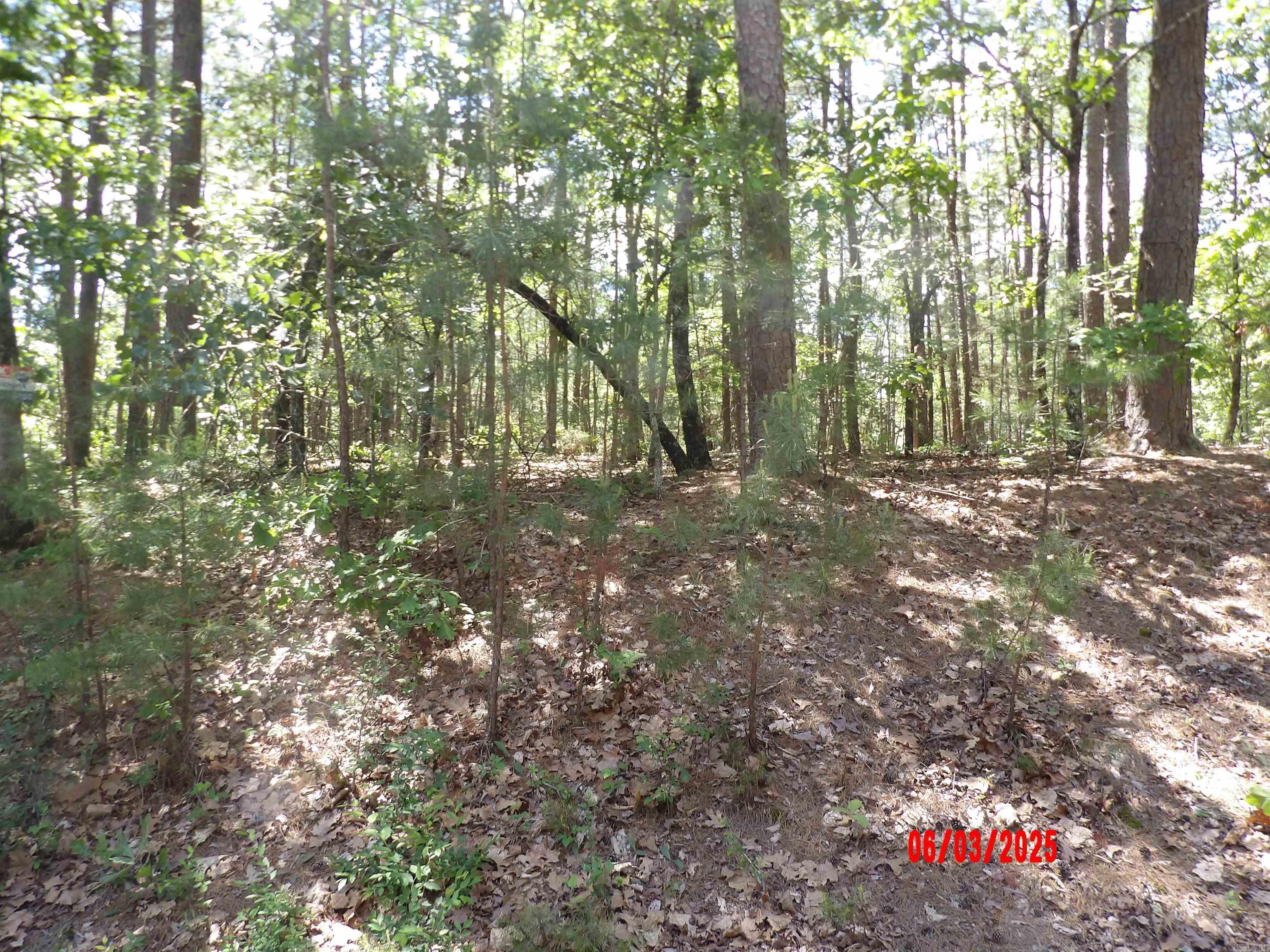 4  VUELTA LANE  Hot Springs Village, AR