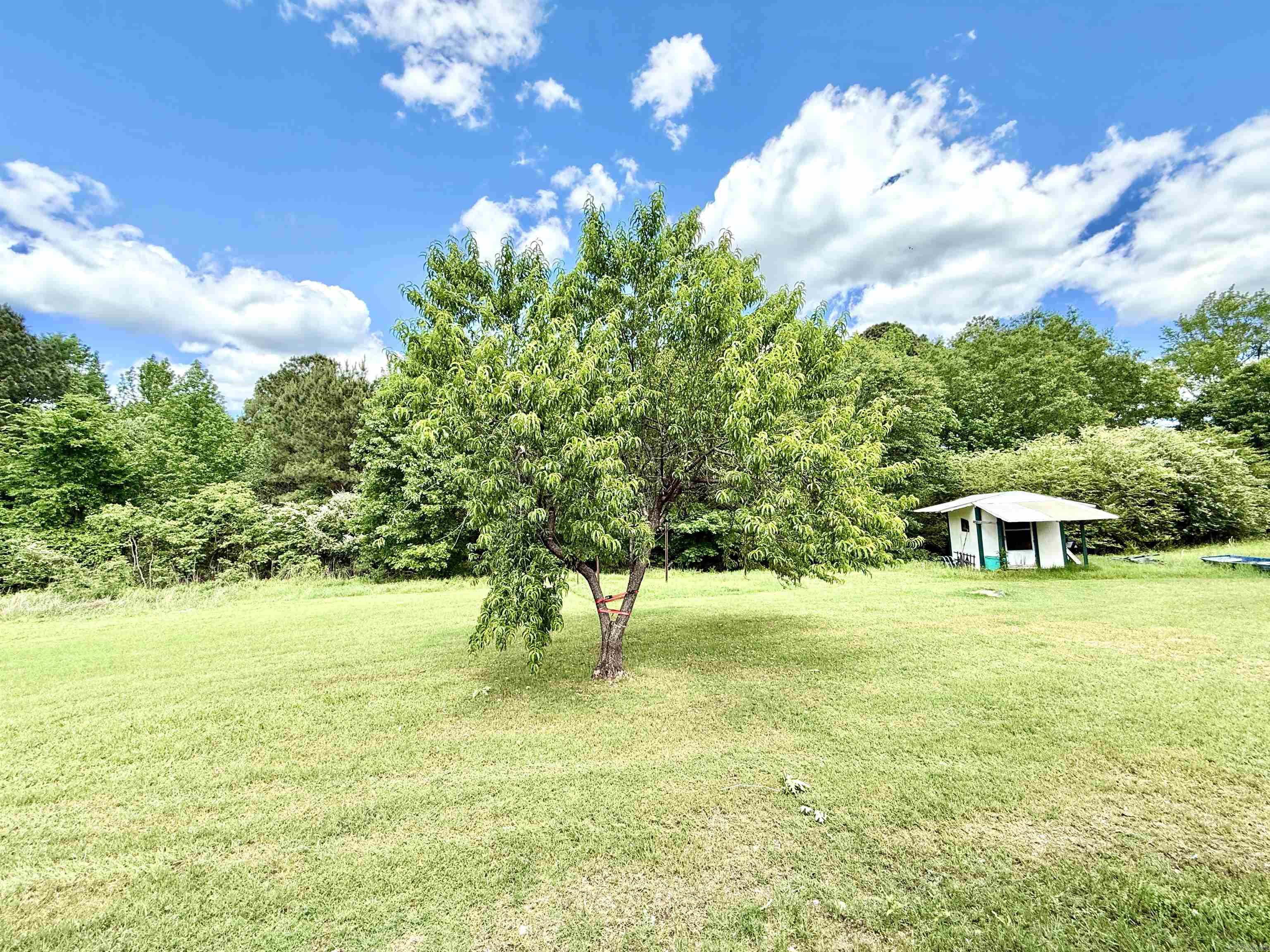 772  Walker Cutoff  Malvern, AR