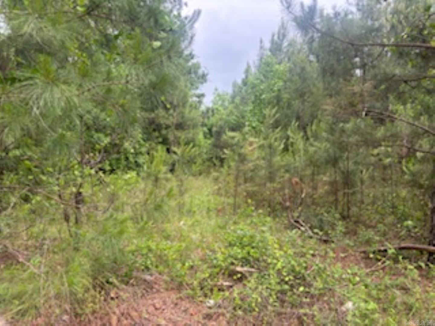 4.82 Acres  Apple St.  Camden, AR
