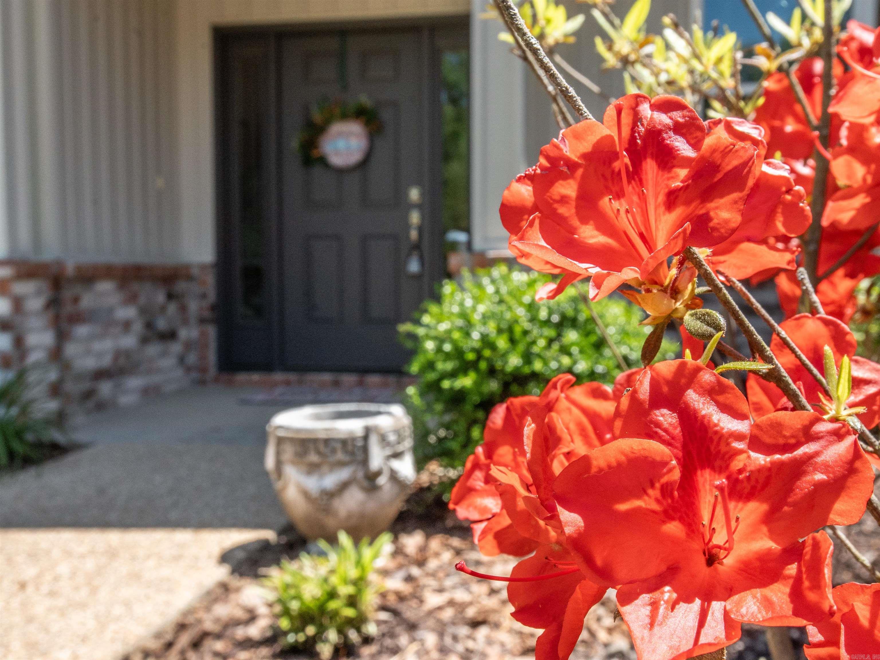 29  Gandesa  Hot Springs Village, AR