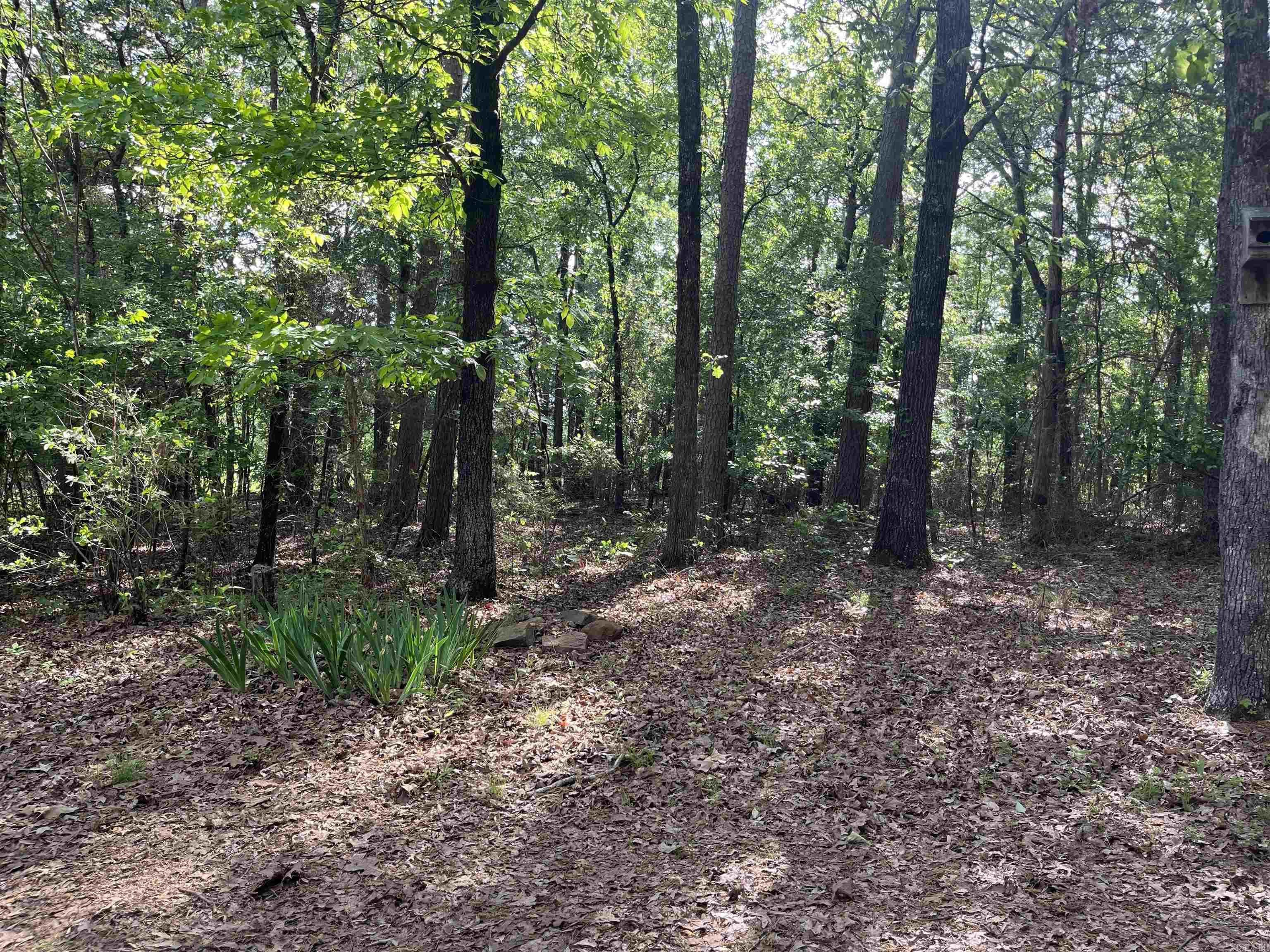 179  Water Road  Clinton, AR