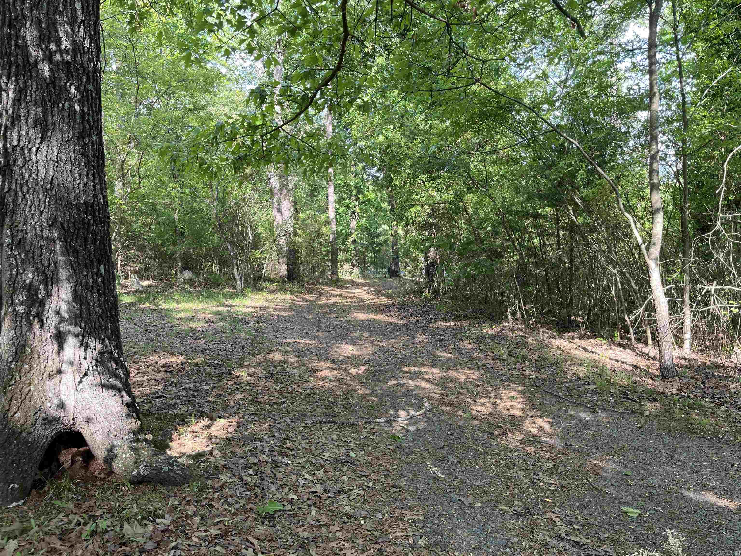 179  Water Road  Clinton, AR