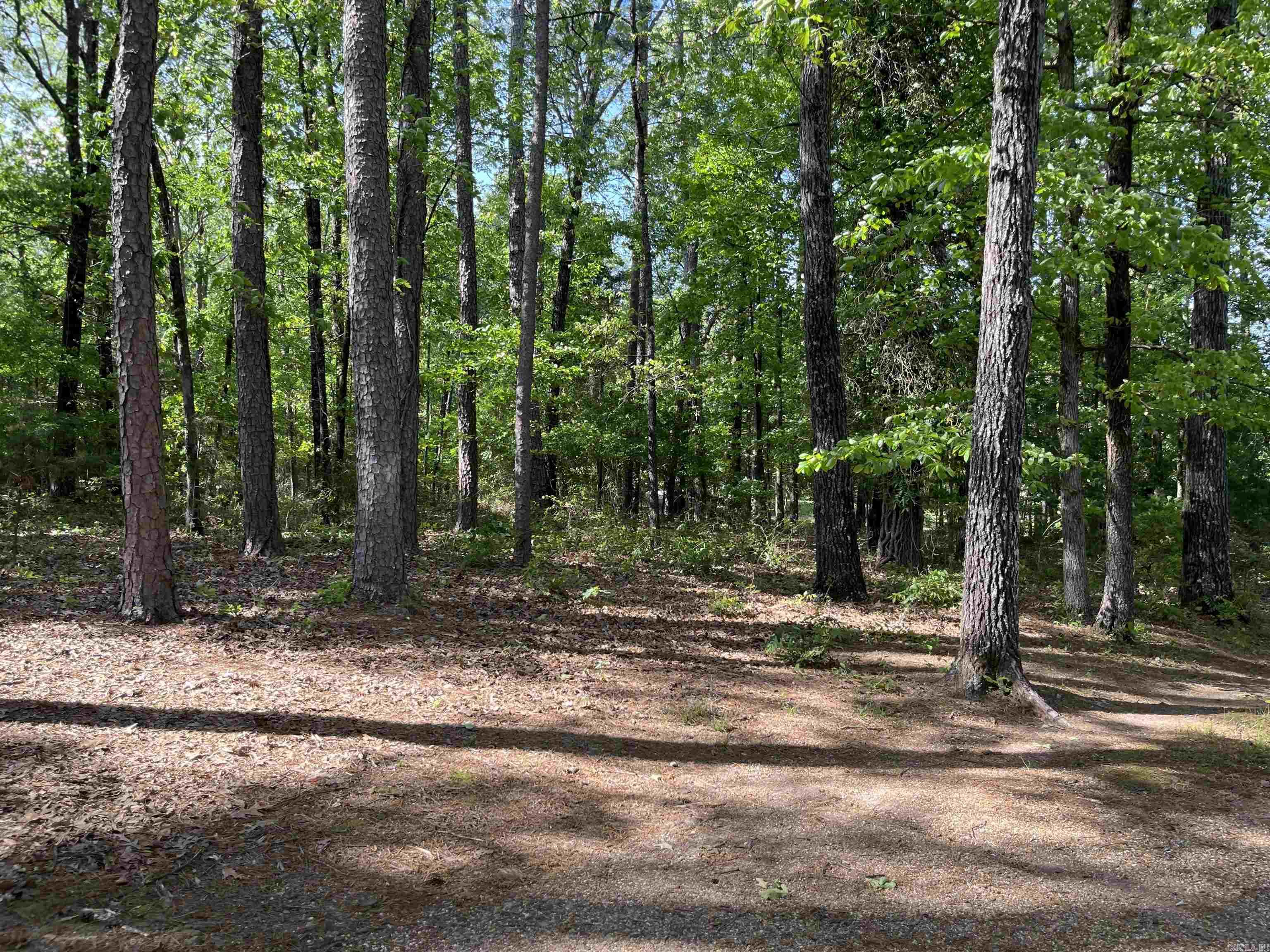 179  Water Road  Clinton, AR