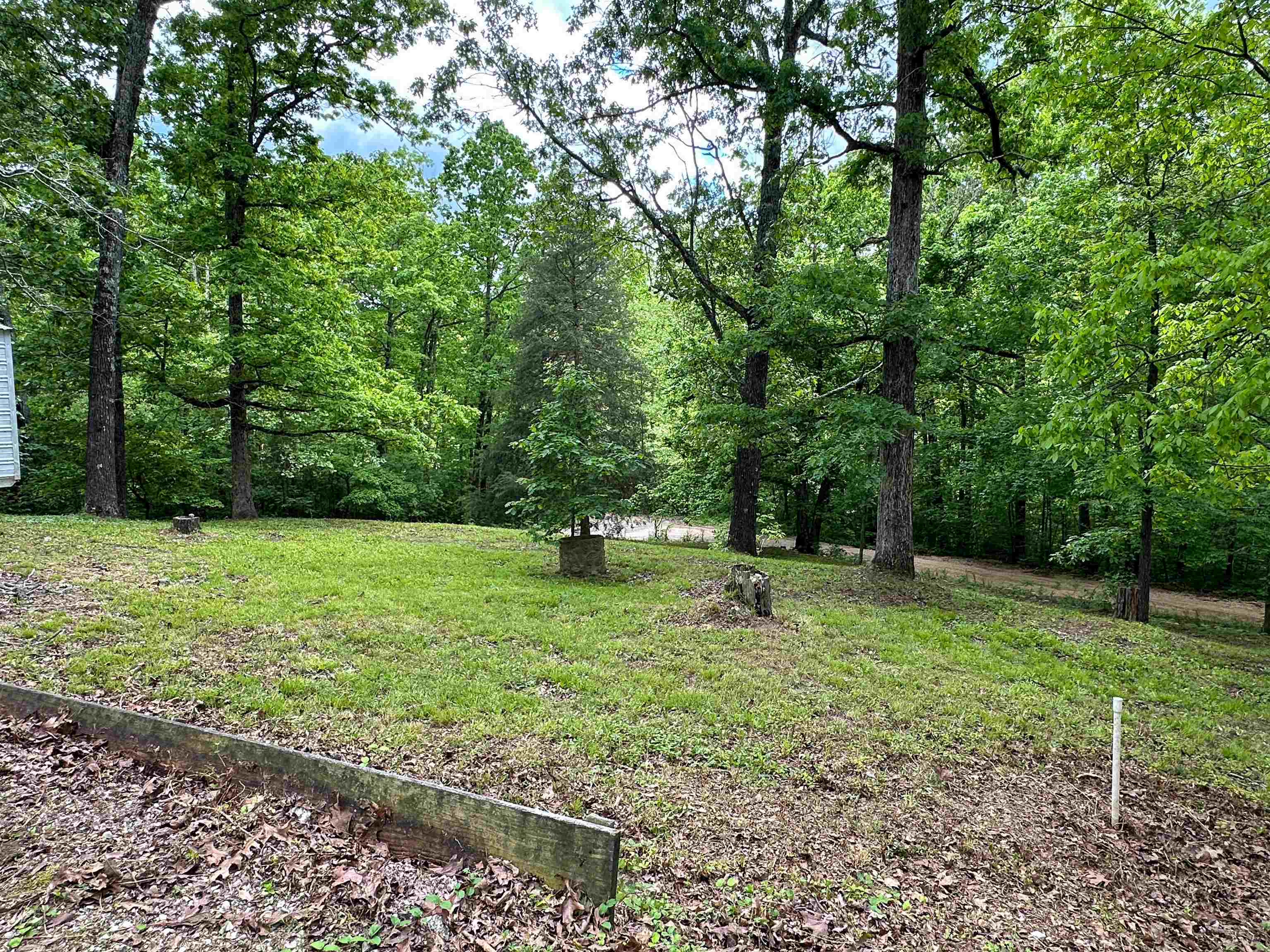 36  Buckskin  Williford, AR