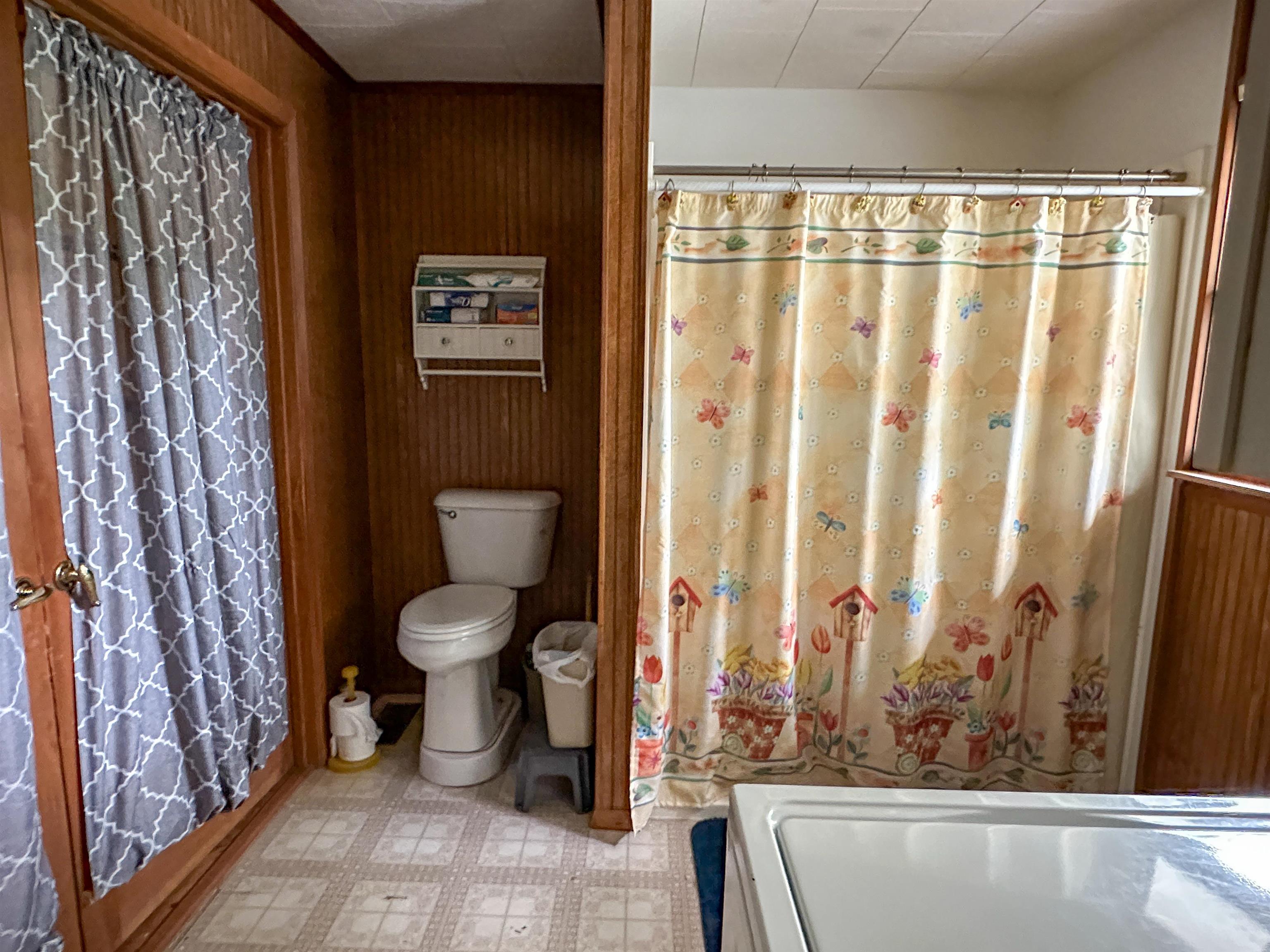 36  Buckskin  Williford, AR