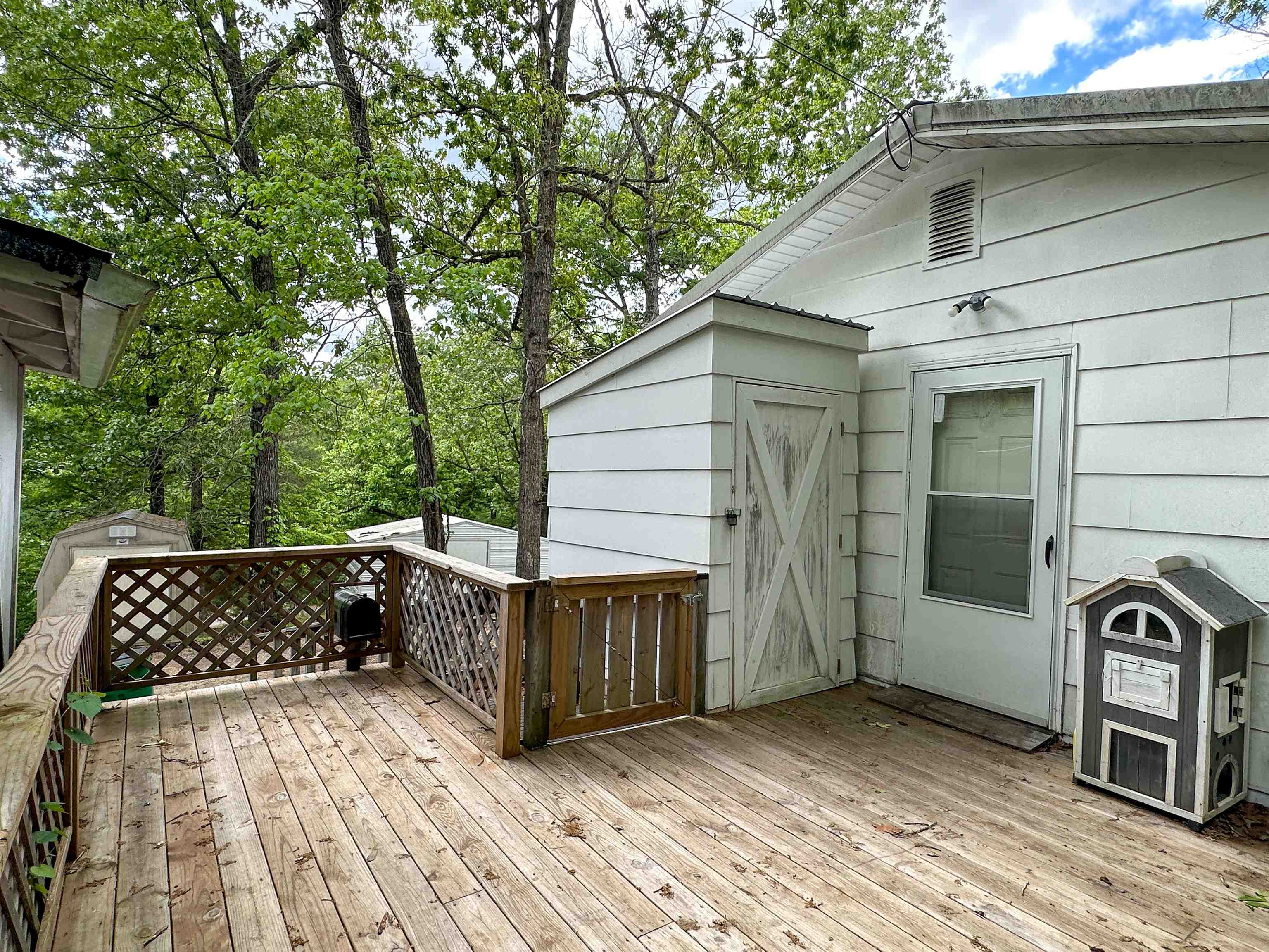 36  Buckskin  Williford, AR