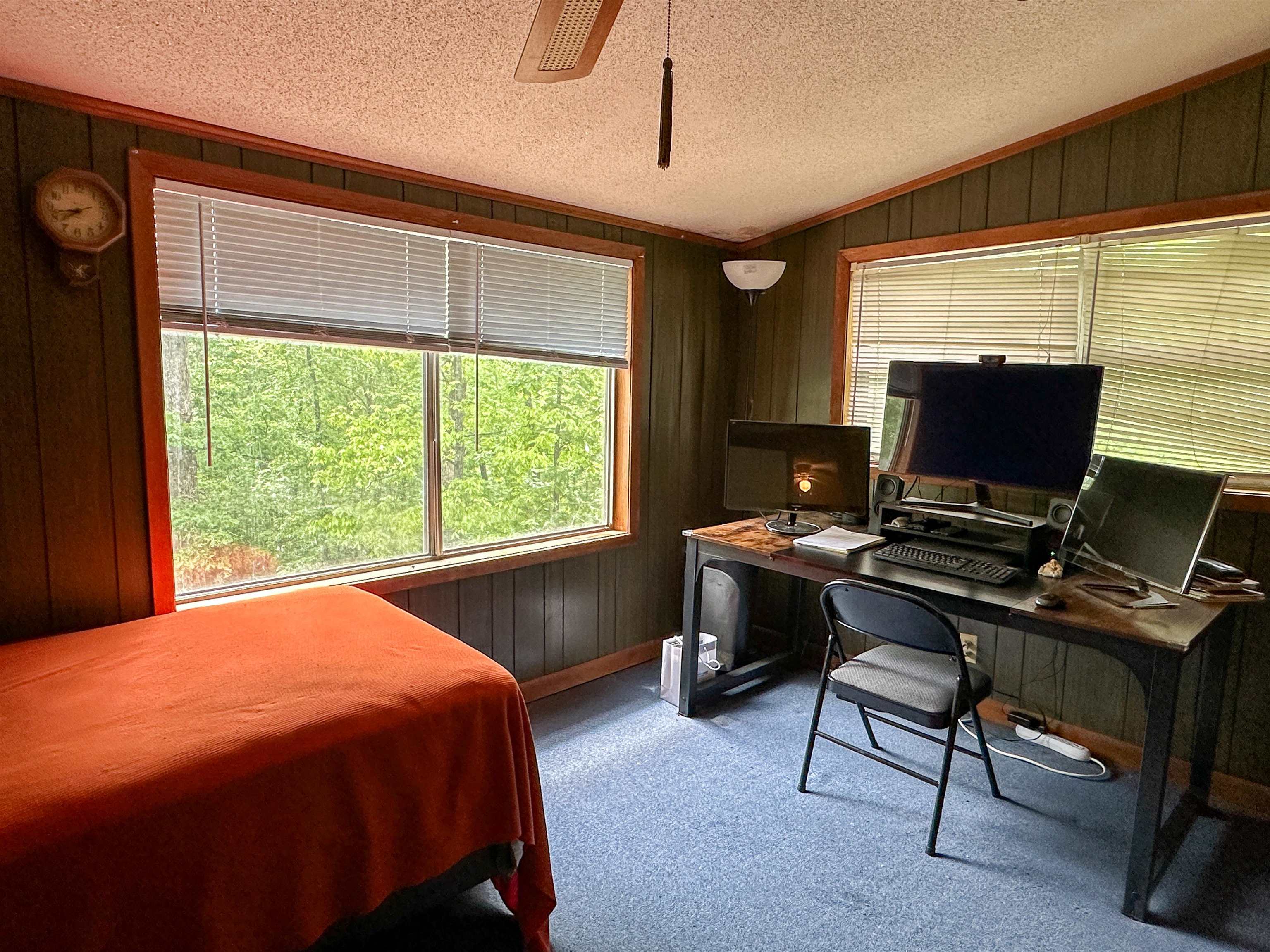 36  Buckskin  Williford, AR