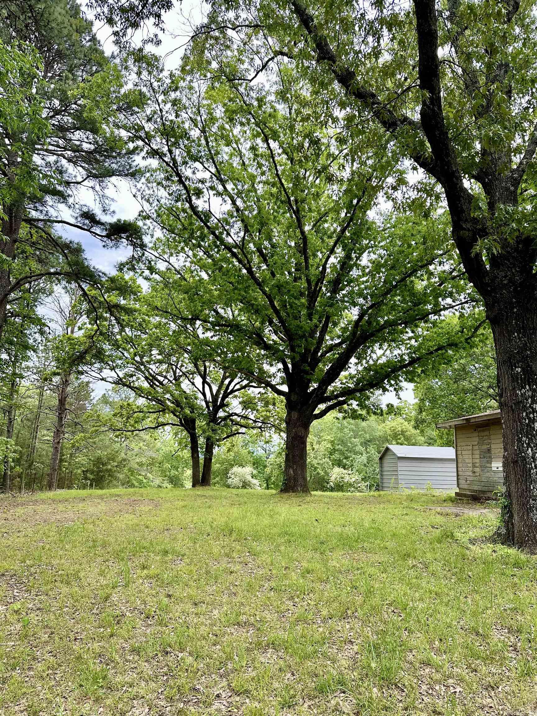 3014  Polk rd 44  Mena, AR