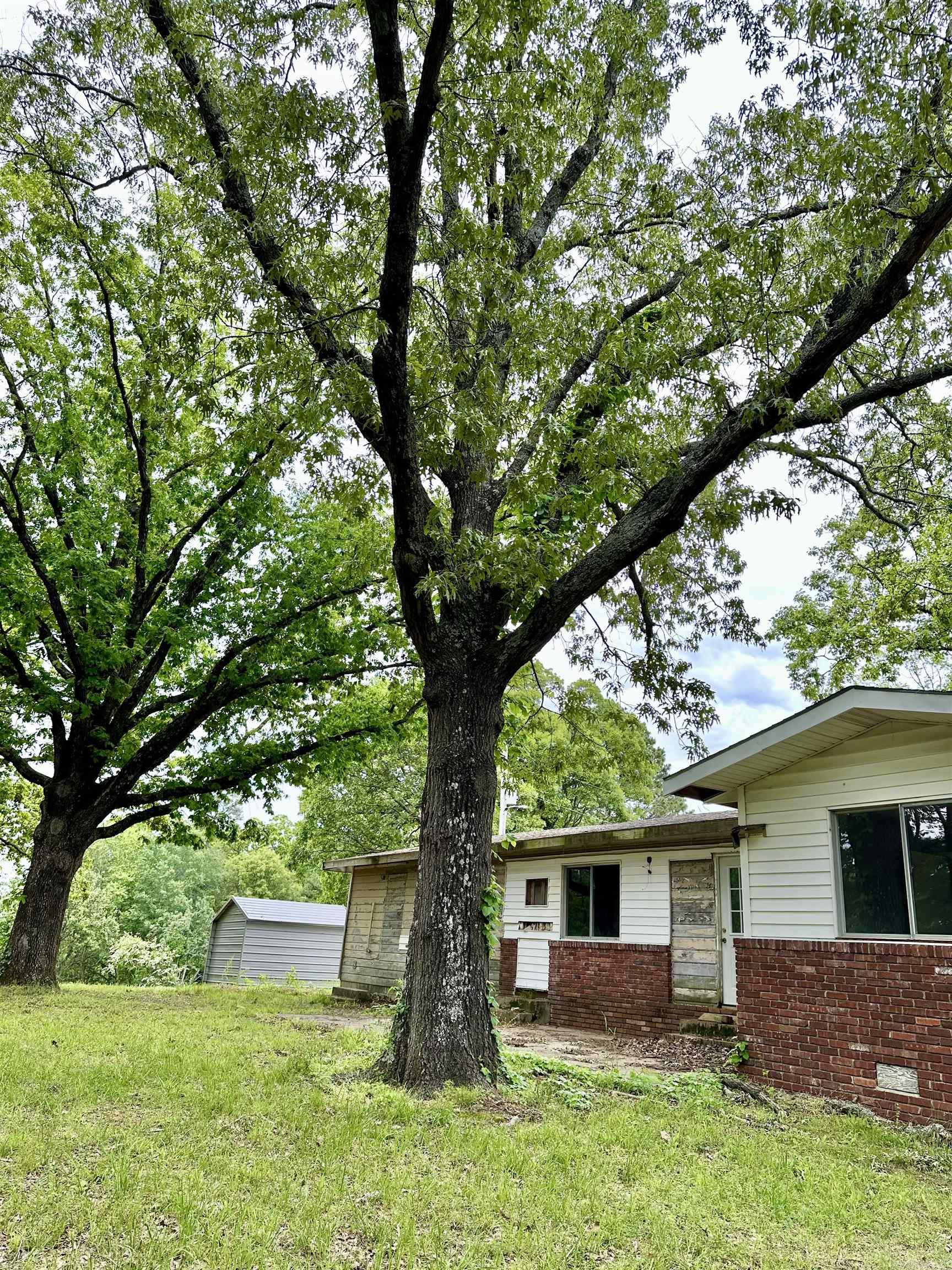 3014  Polk rd 44  Mena, AR