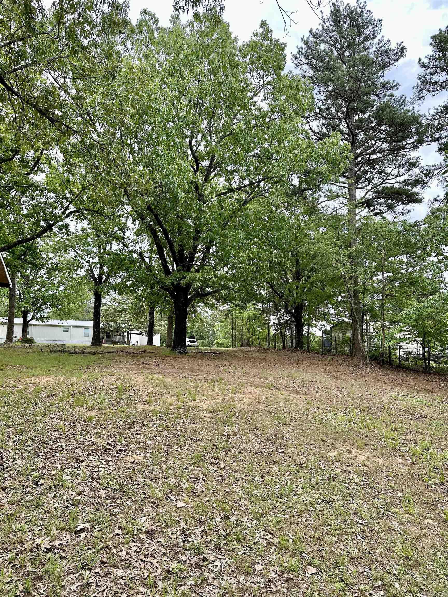 3014  Polk rd 44  Mena, AR
