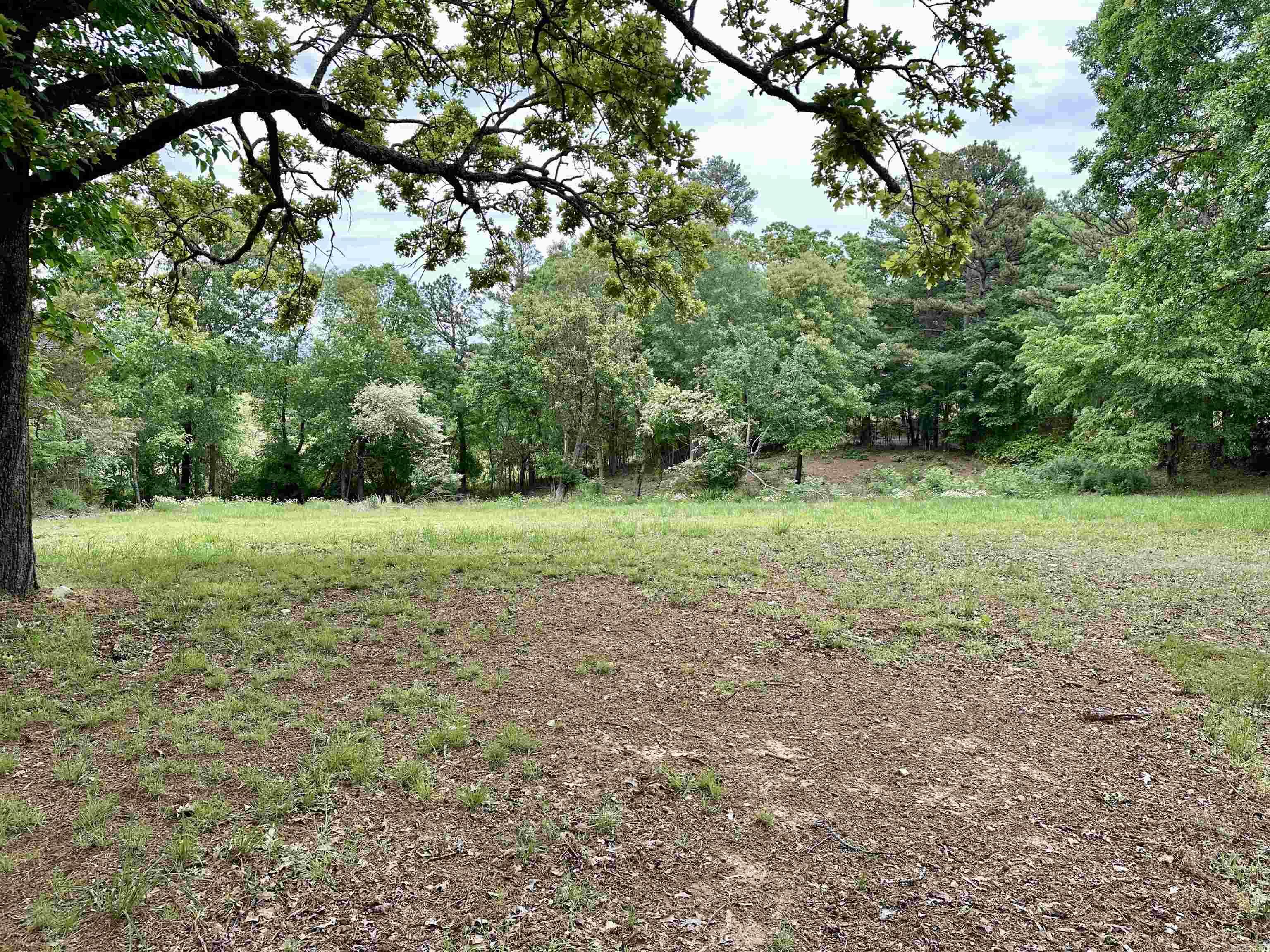 3014  Polk rd 44  Mena, AR