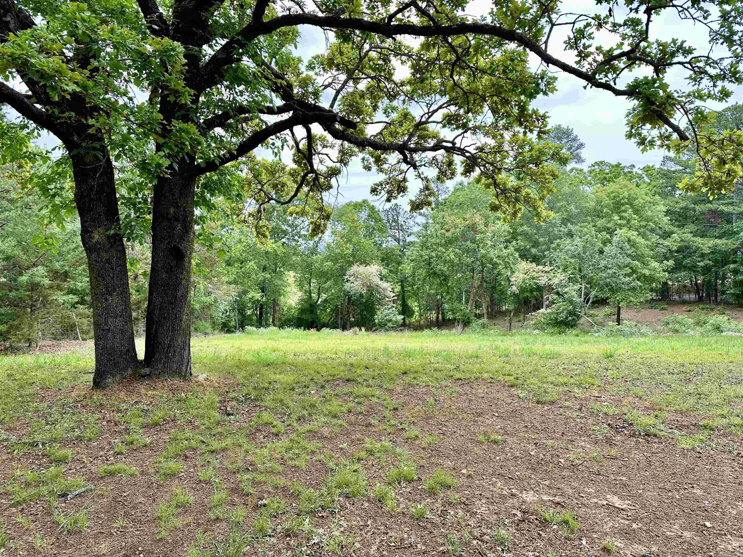 3014  Polk rd 44  Mena, AR