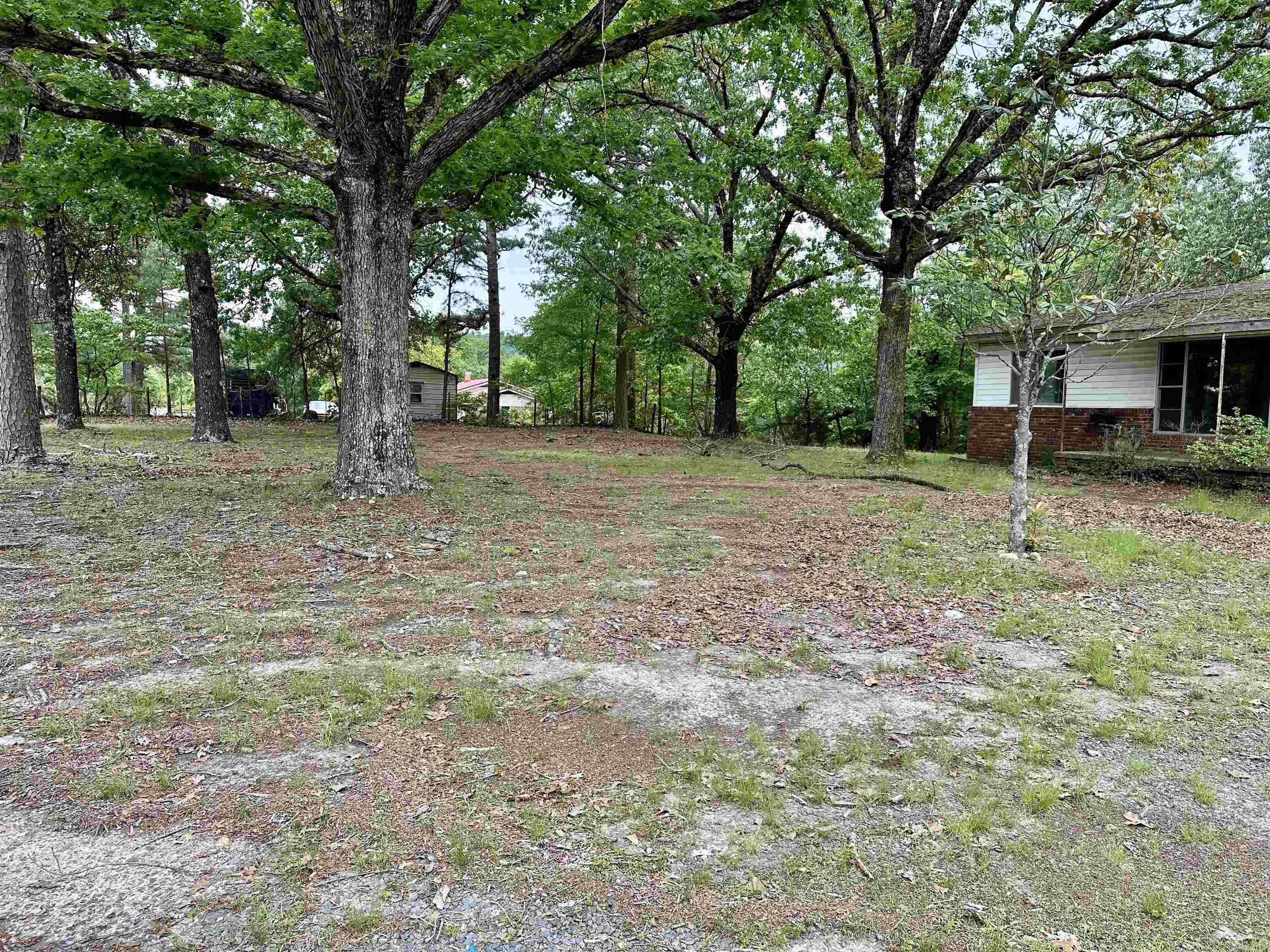 3014  Polk rd 44  Mena, AR