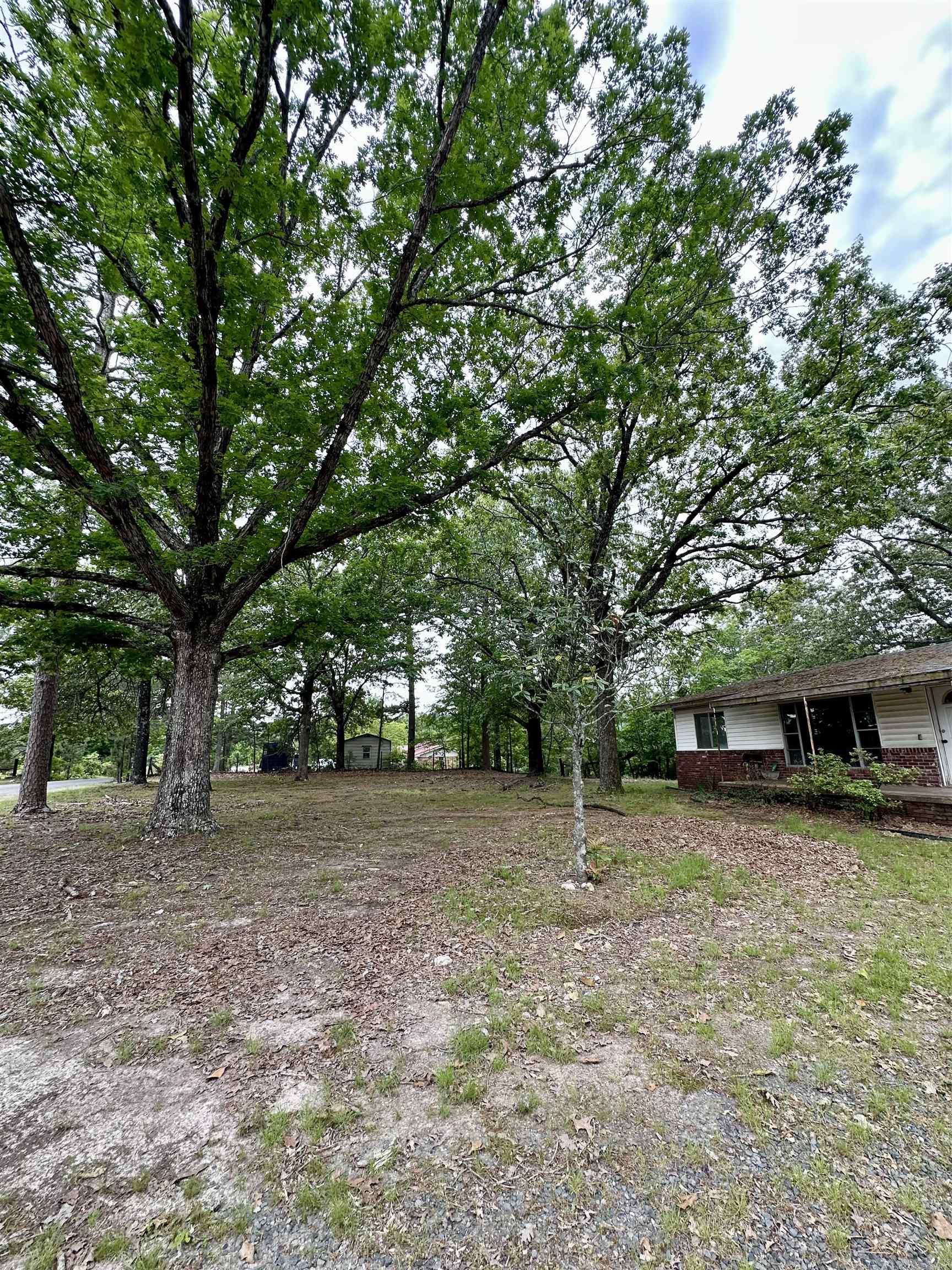 3014  Polk rd 44  Mena, AR