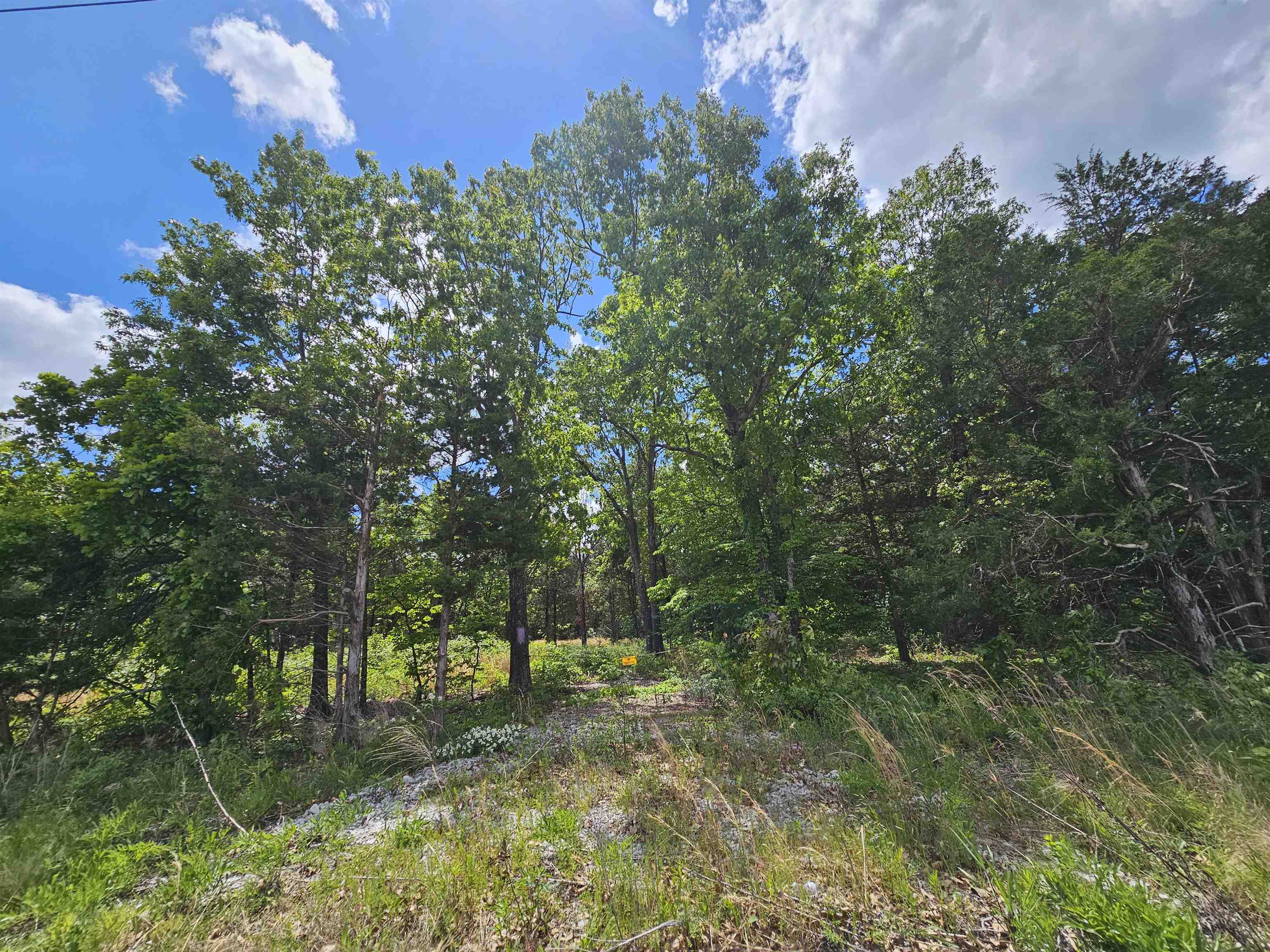   AR-62/412  Ash Flat, AR