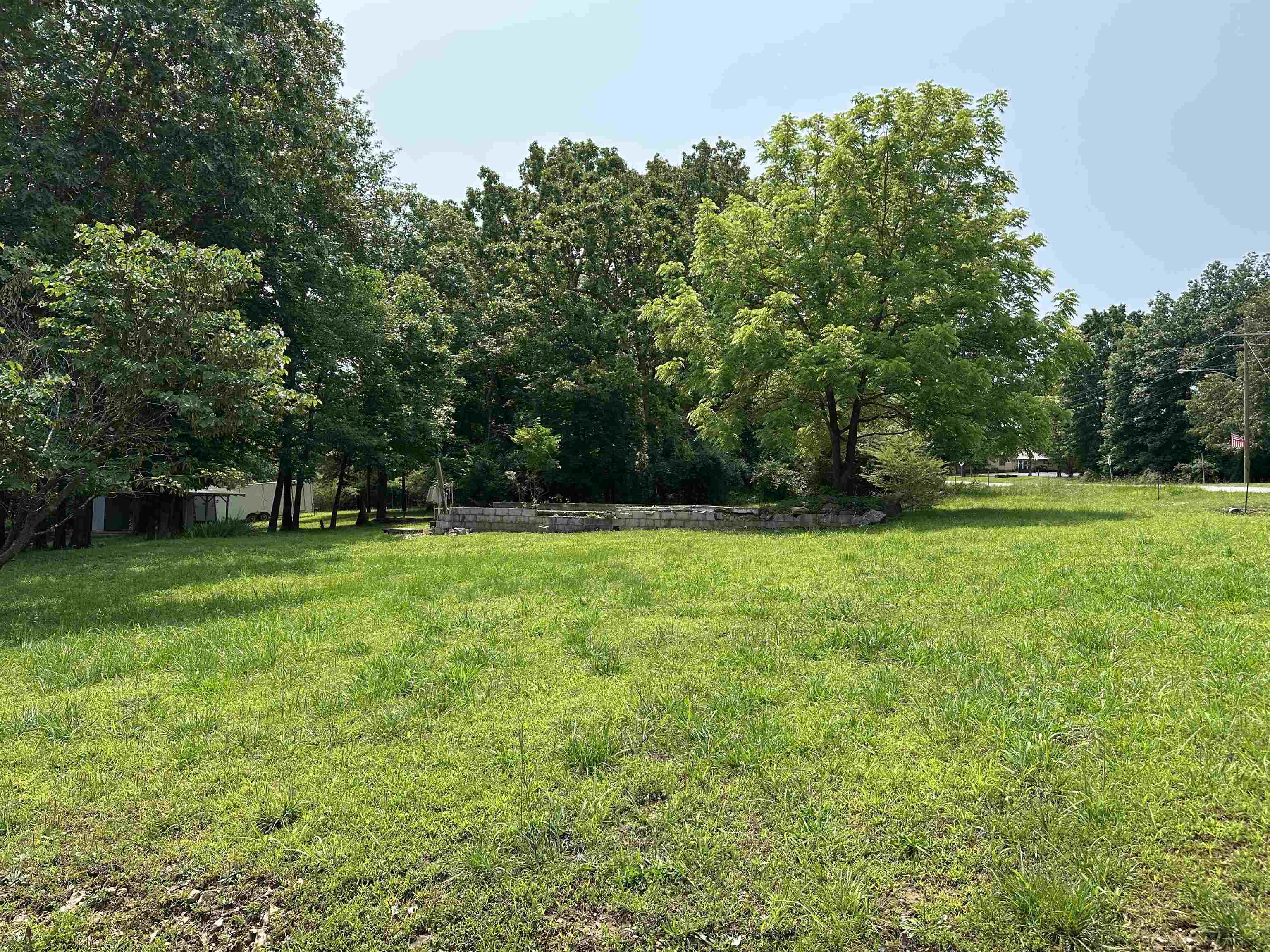 320 Hazelwood Drive  Diamond City, AR