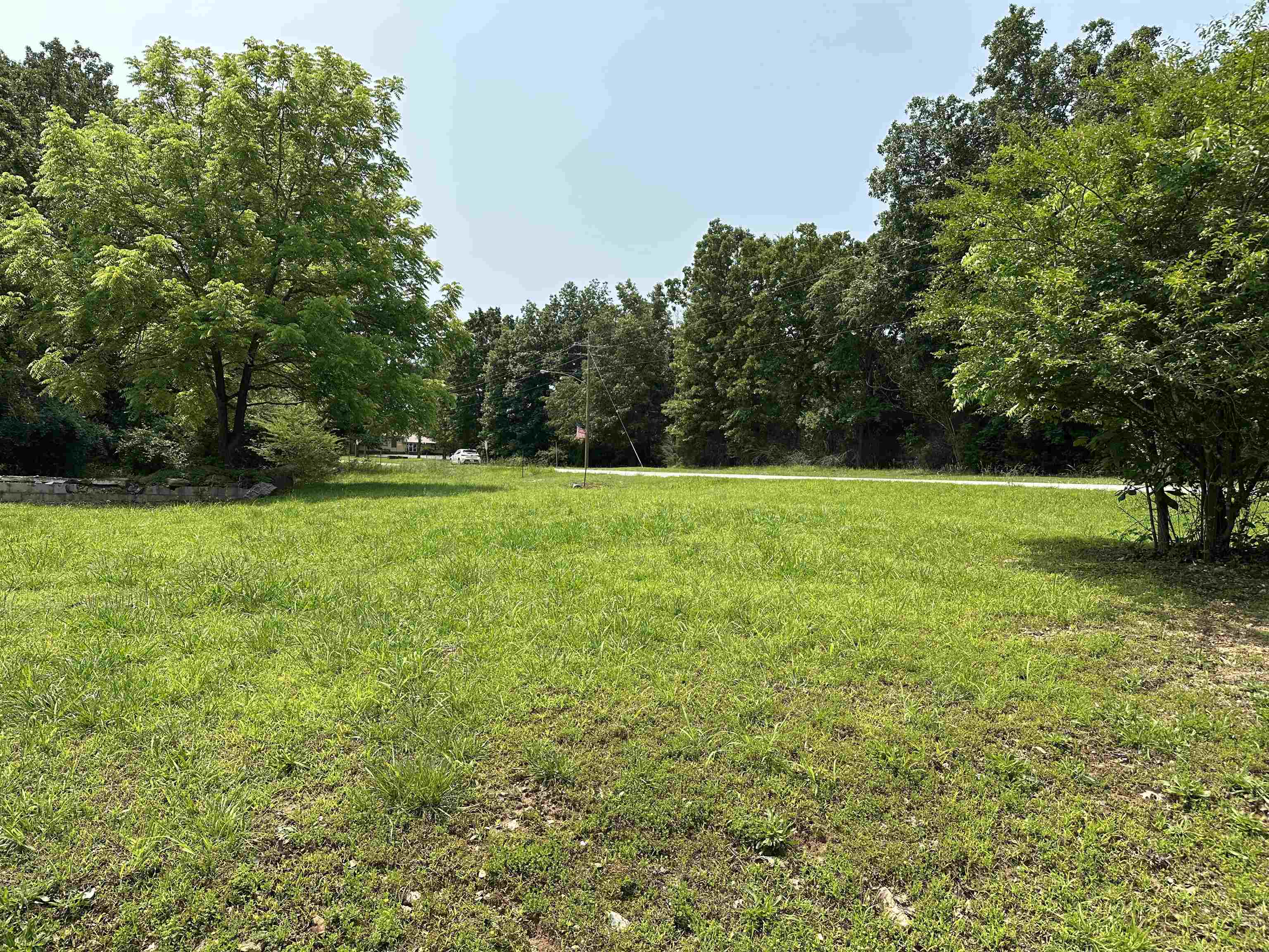 320 Hazelwood Drive  Diamond City, AR
