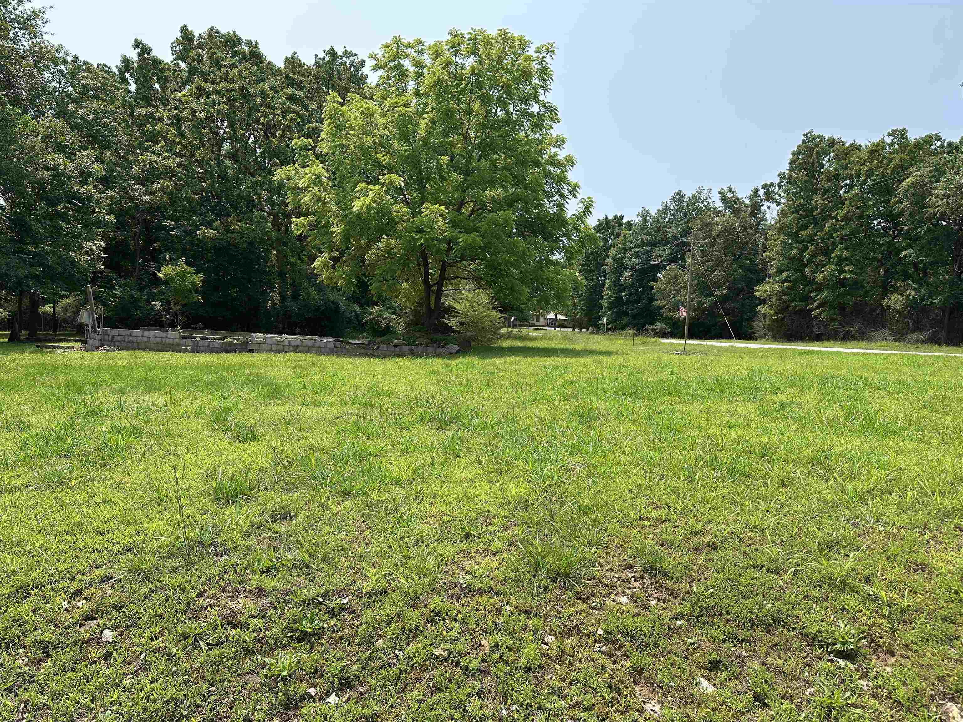 320 Hazelwood Drive  Diamond City, AR