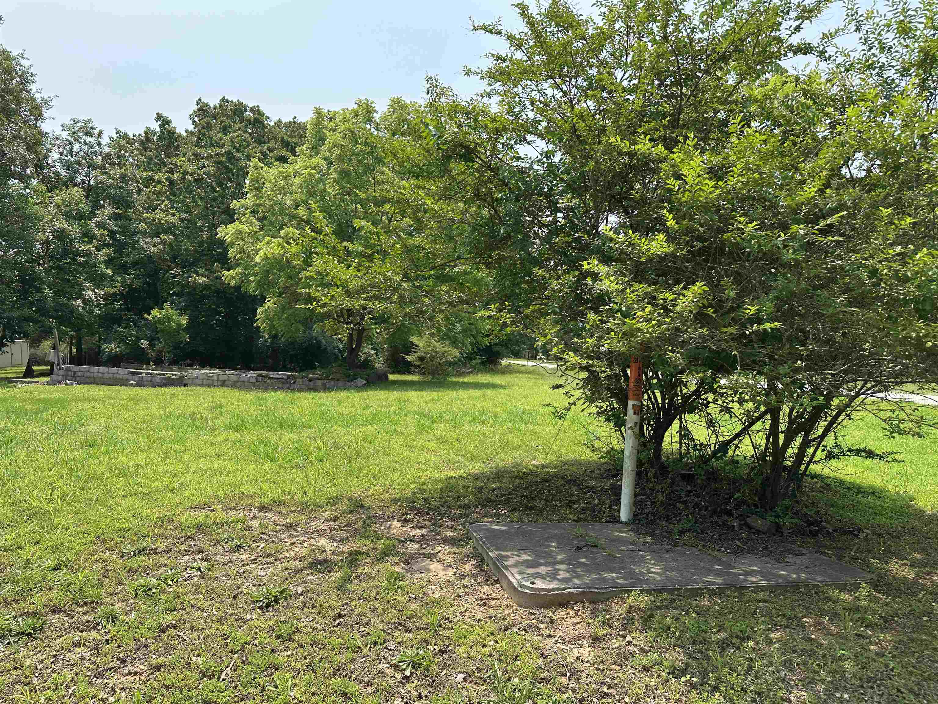 320 Hazelwood Drive  Diamond City, AR
