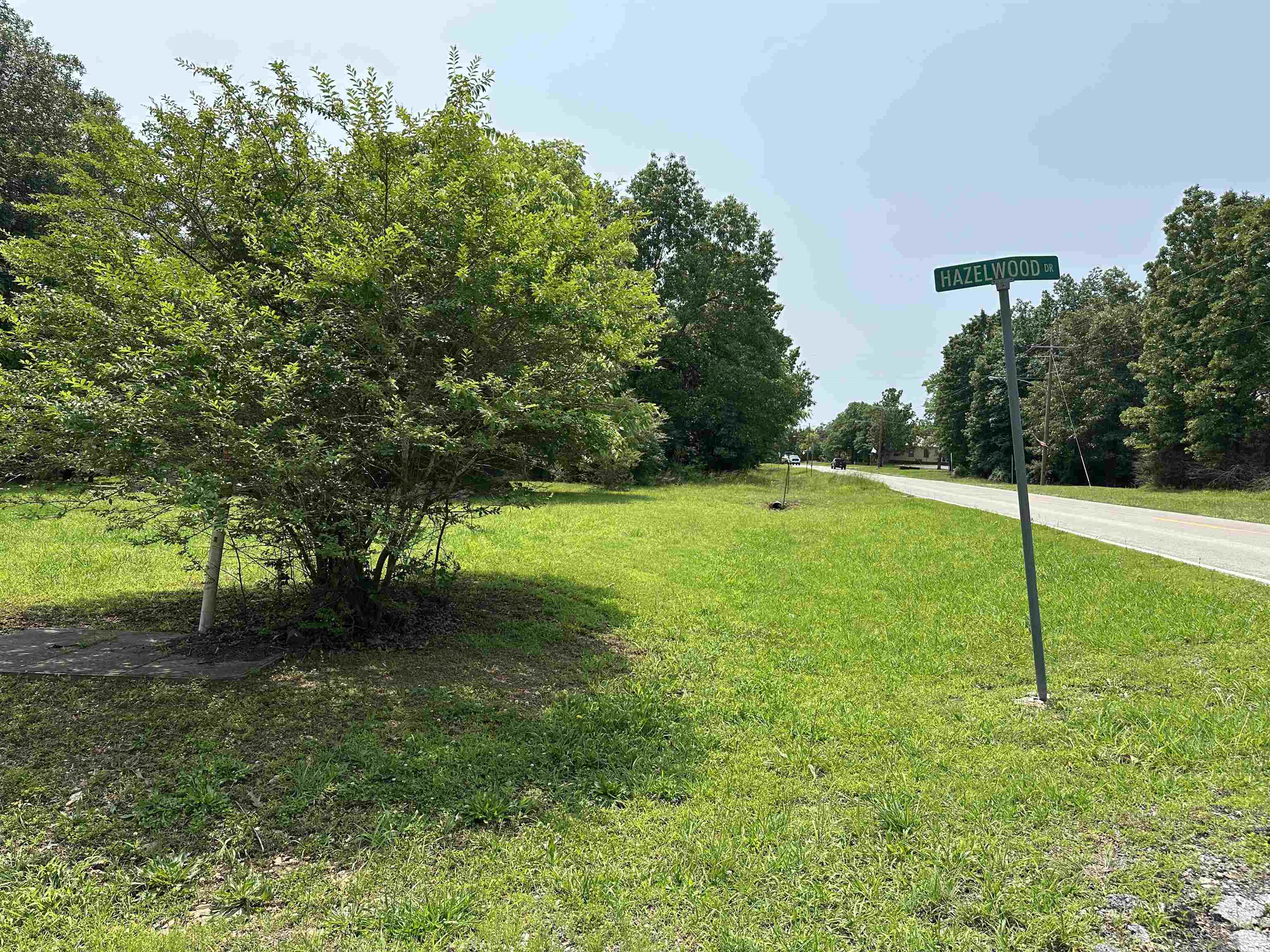 320 Hazelwood Drive  Diamond City, AR