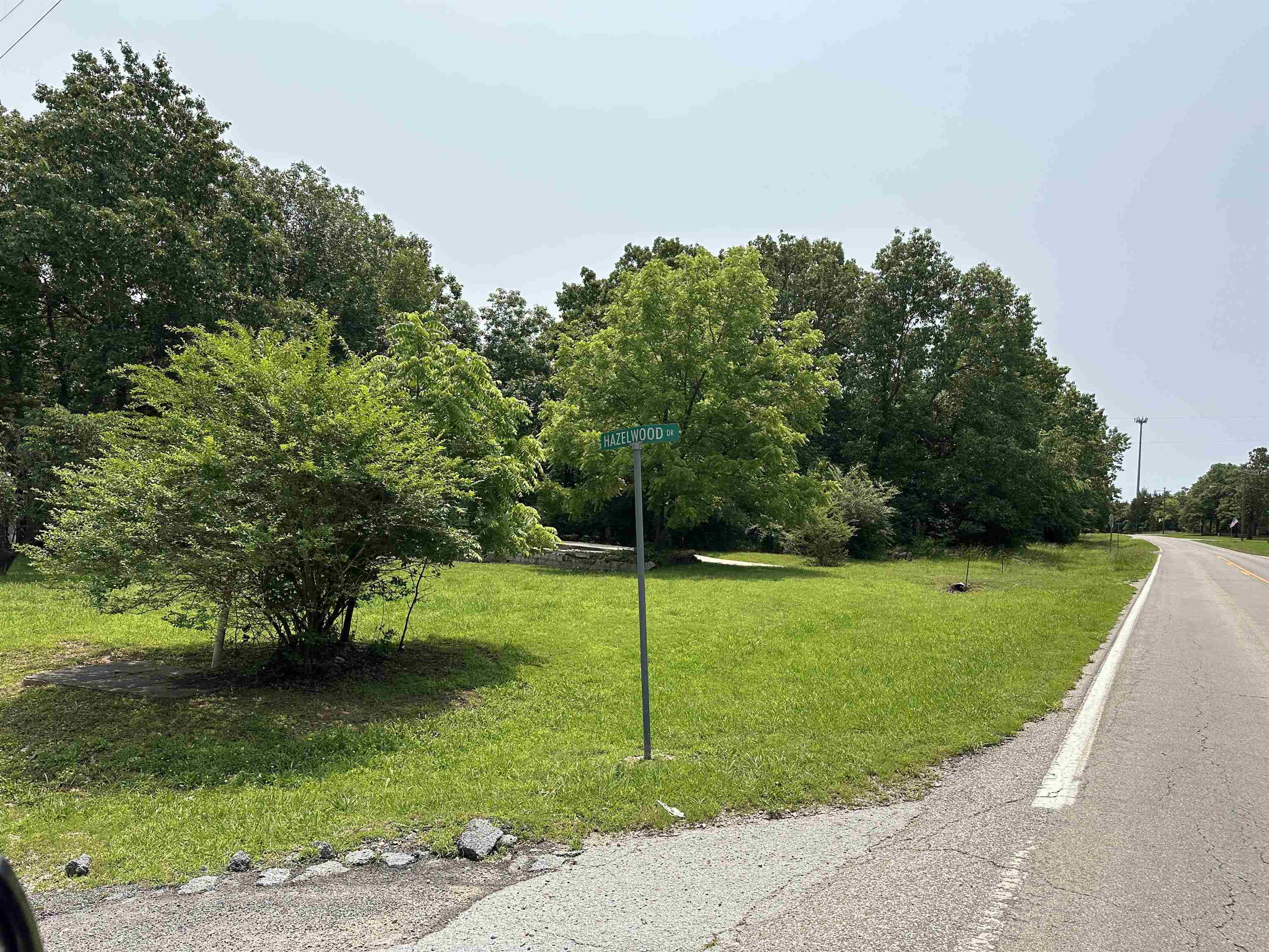 320 Hazelwood Drive  Diamond City, AR
