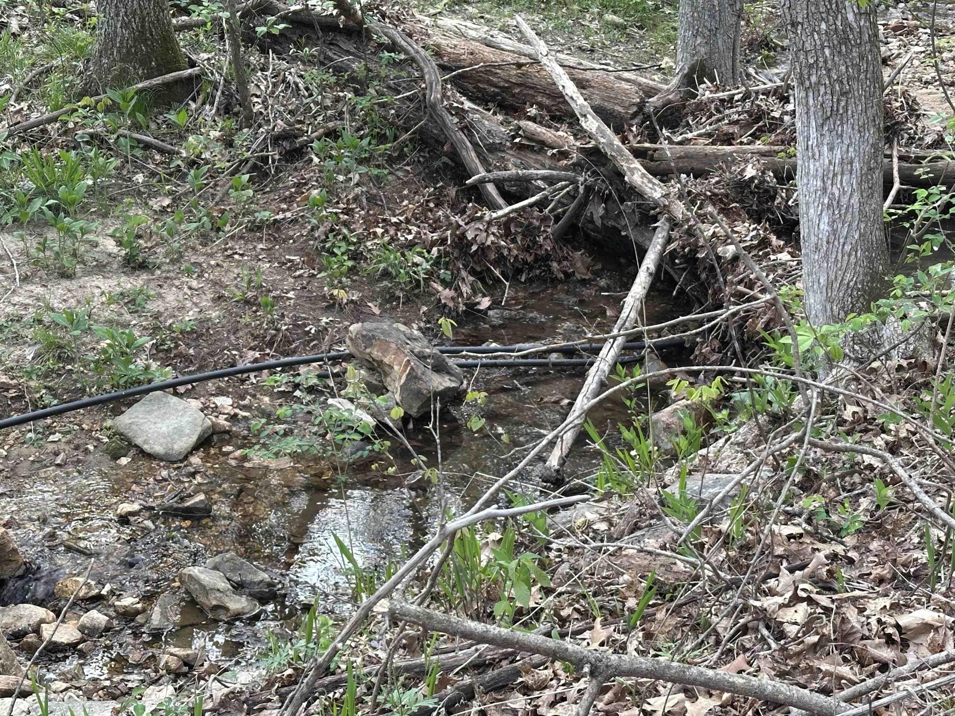 188 Oregon Trail  Pyatt, AR