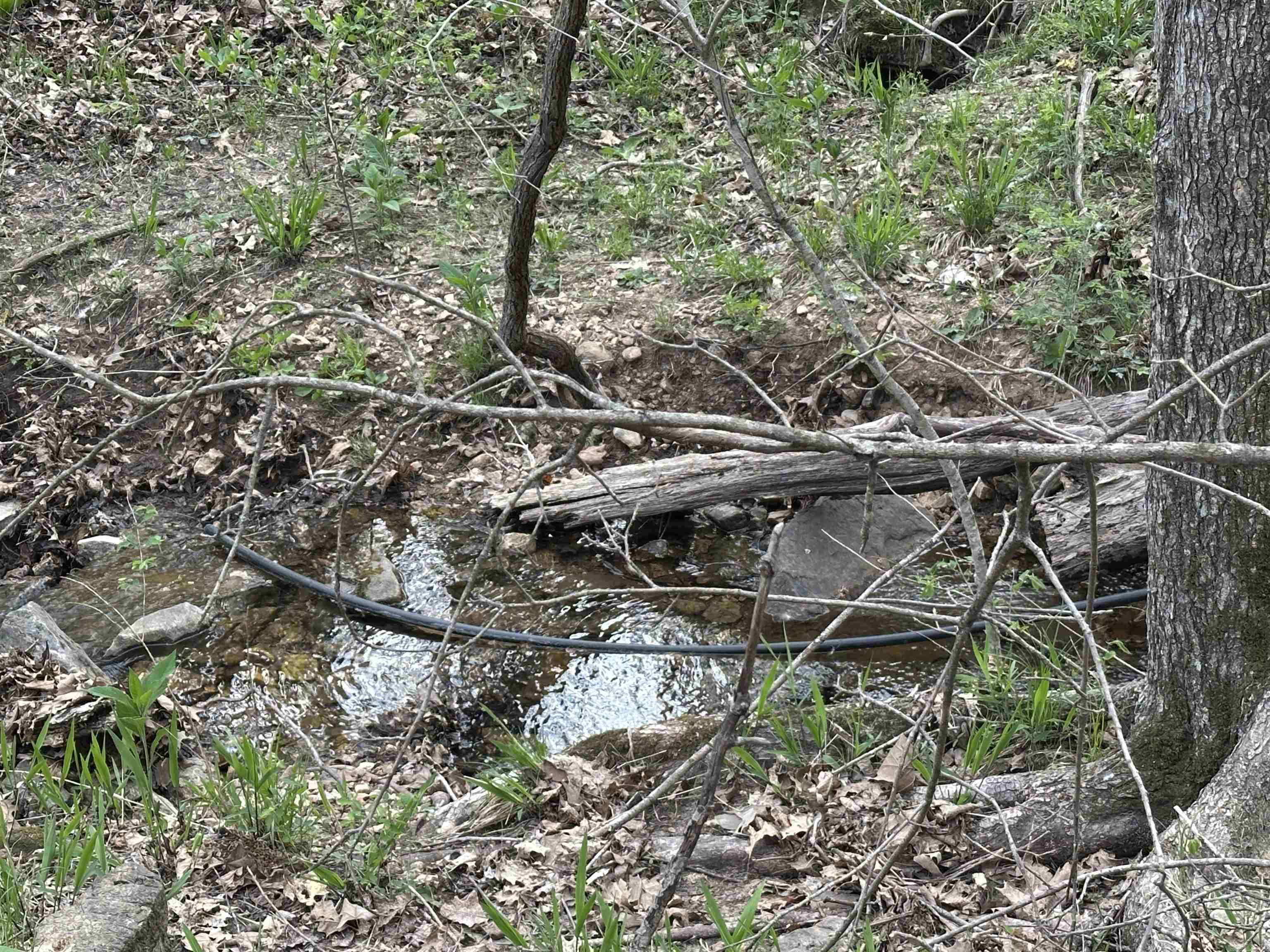 188 Oregon Trail  Pyatt, AR