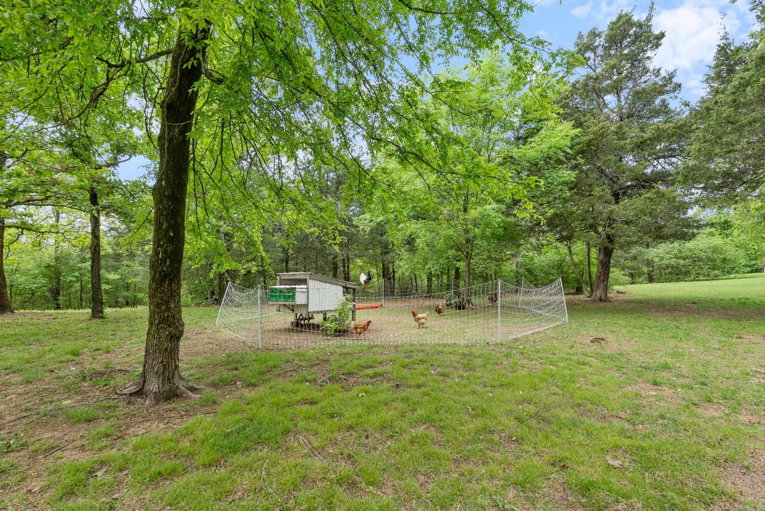 11  Demarco  Vilonia, AR