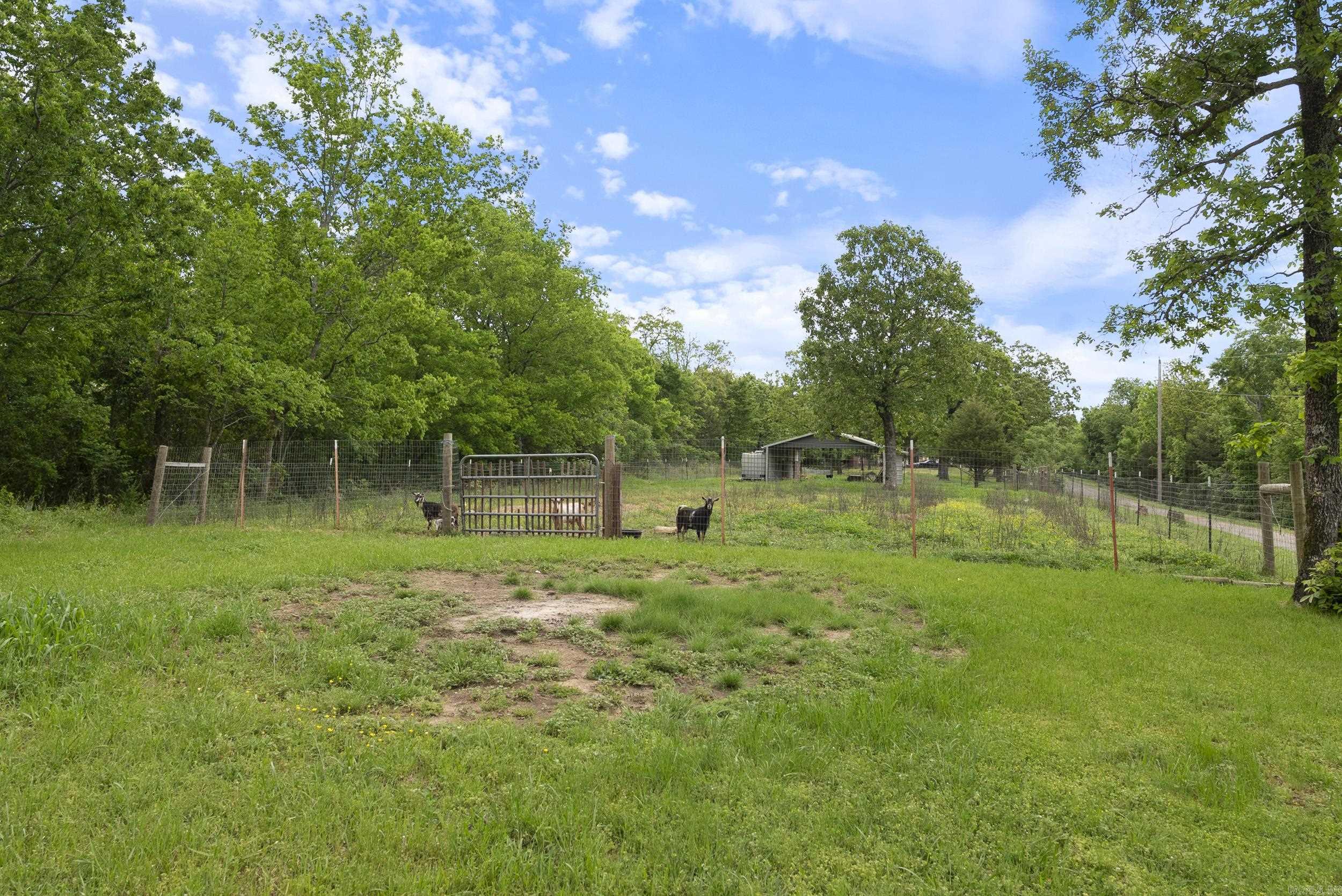 11  Demarco  Vilonia, AR