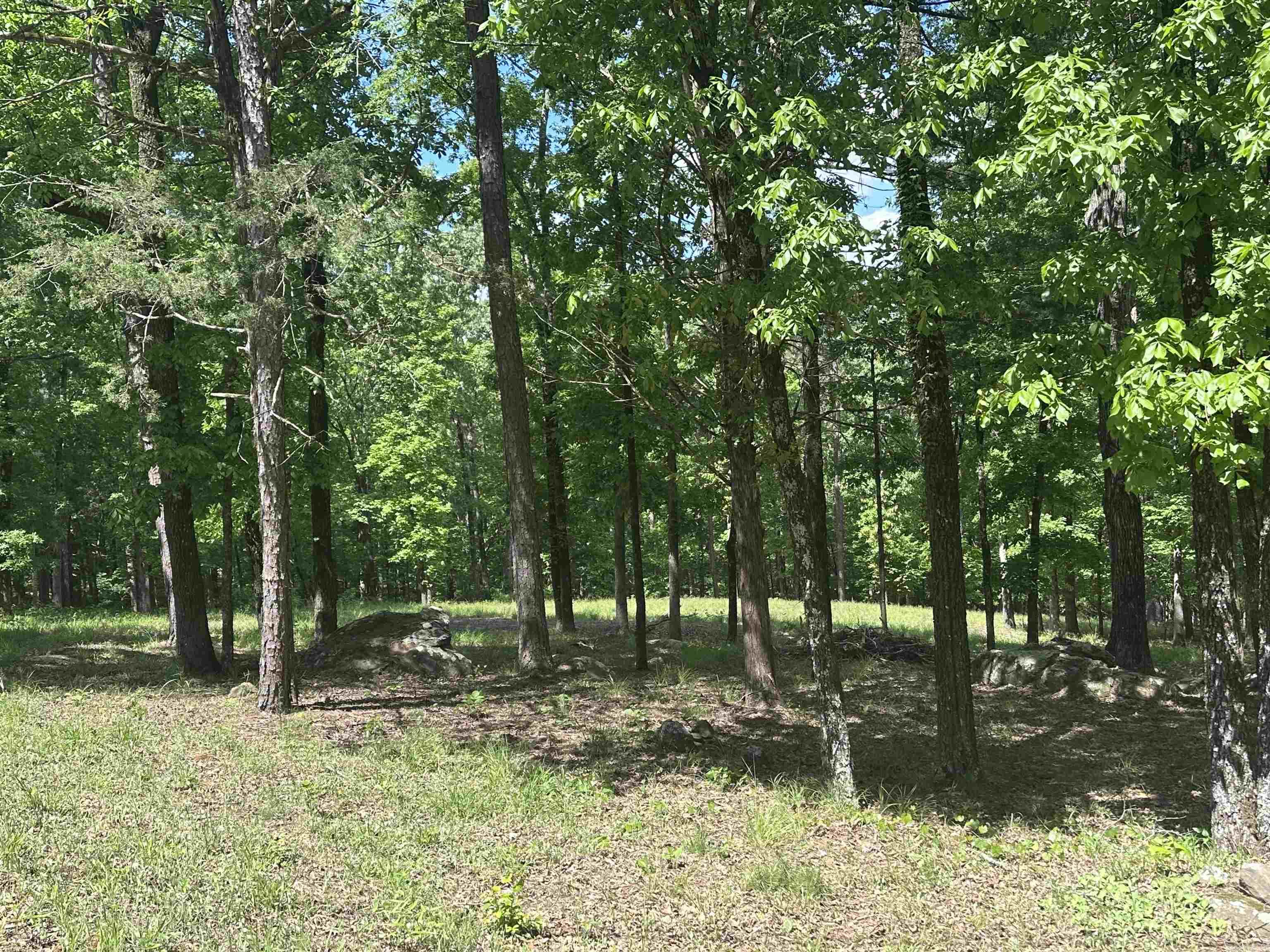000  Boulder Blvd.  Shirley, AR