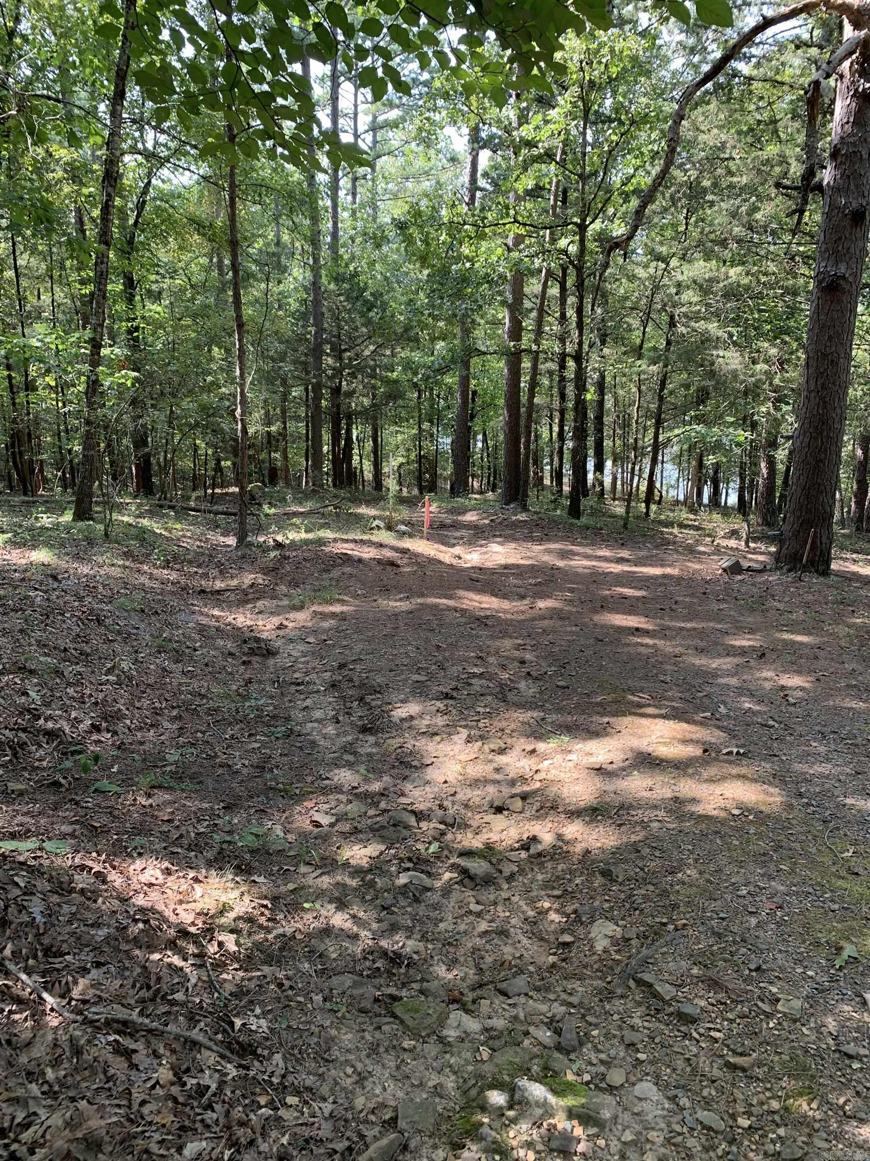 000 Boulder Blvd.  Shirley, AR