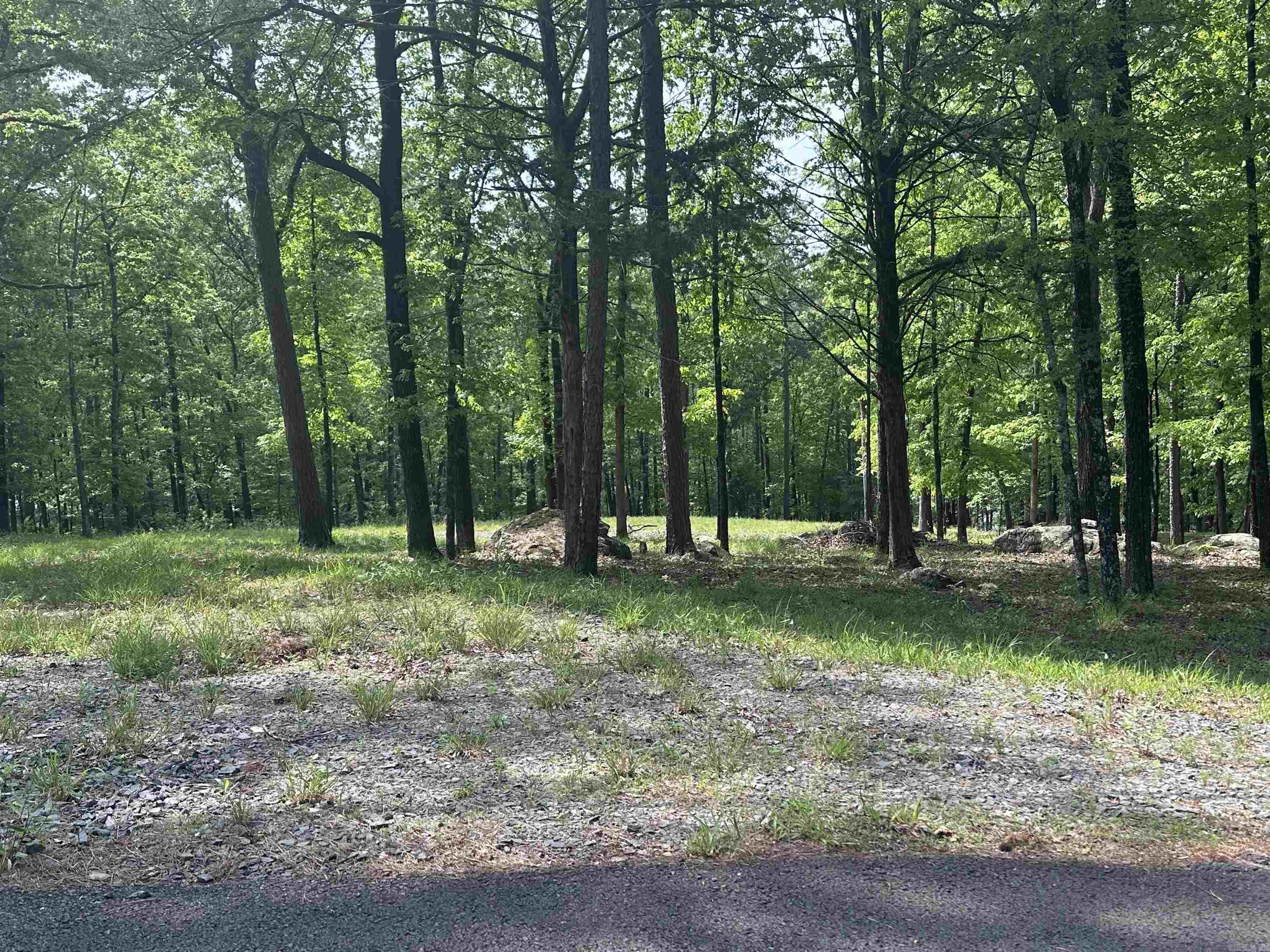 000 Boulder Blvd.  Shirley, AR