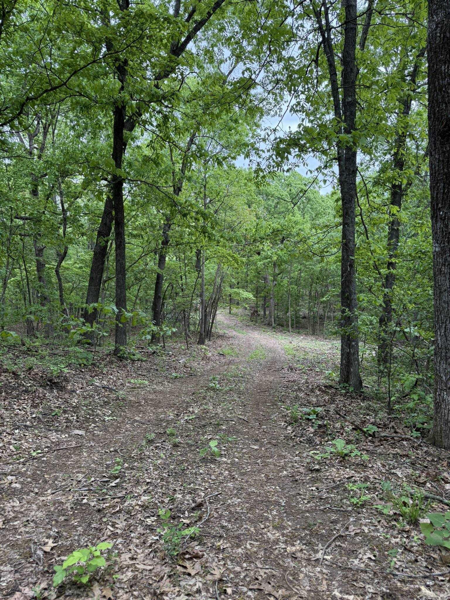 40  Ridge Road  Hardy, AR